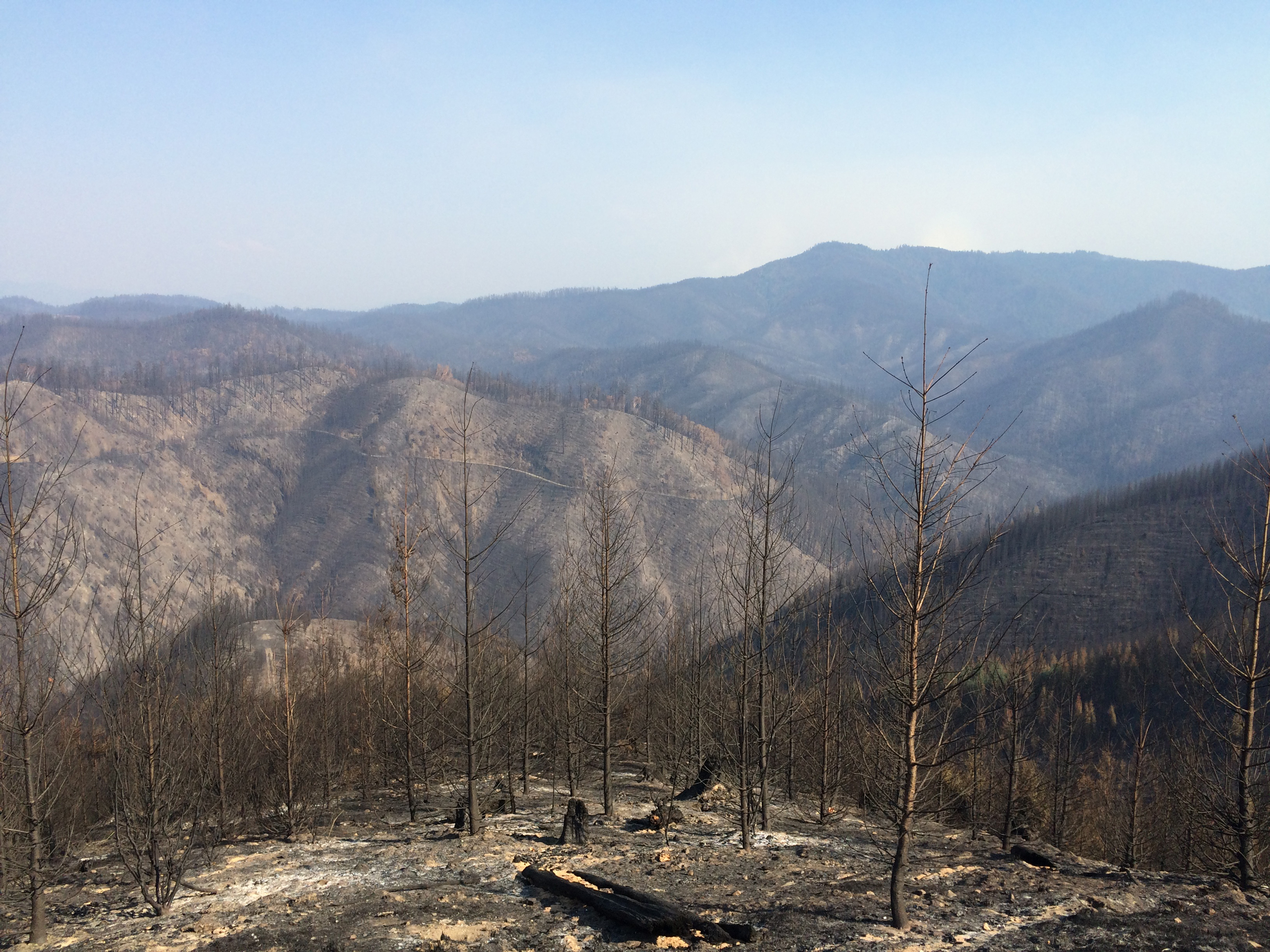 The Stouts Creek Fire
