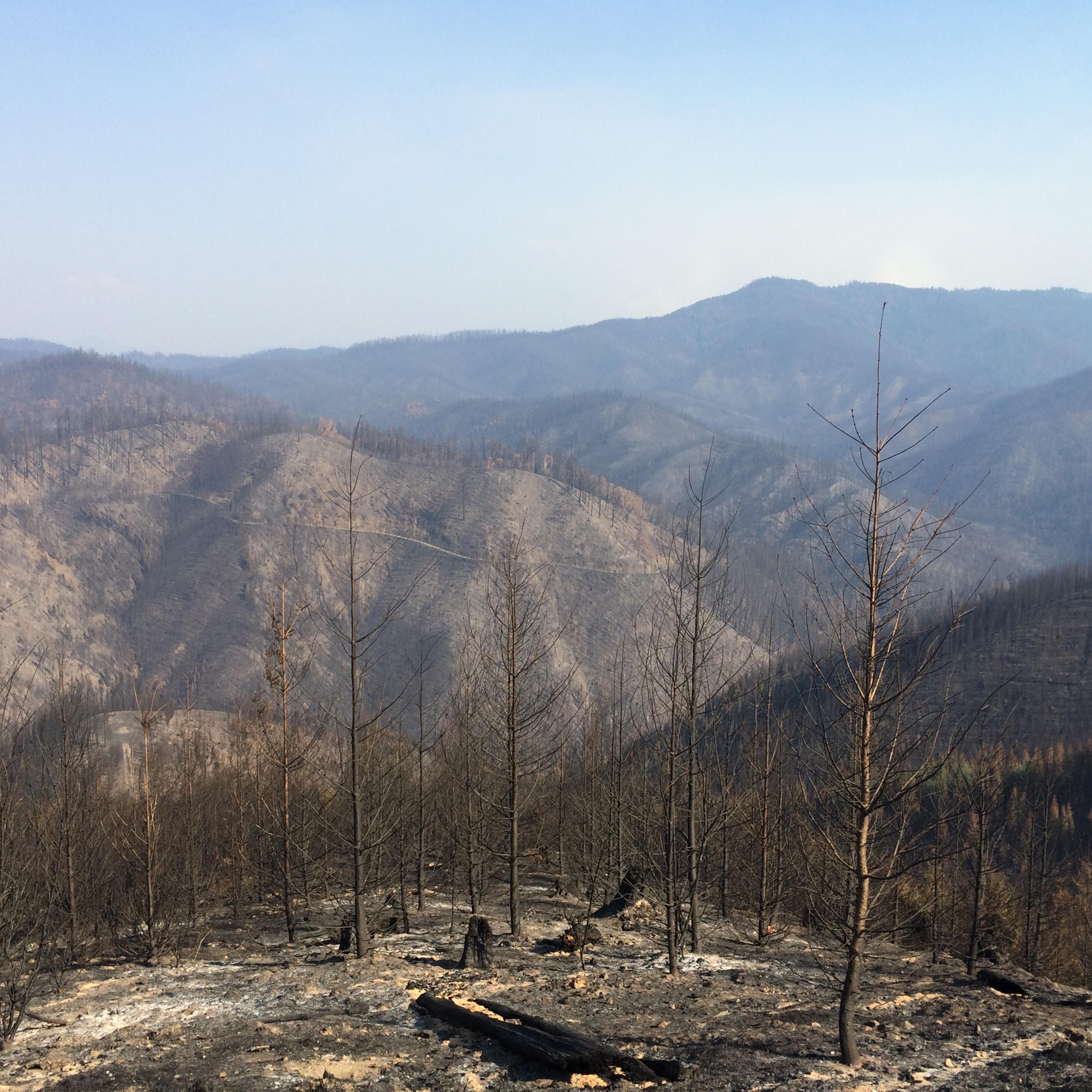 The Stouts Creek Fire
