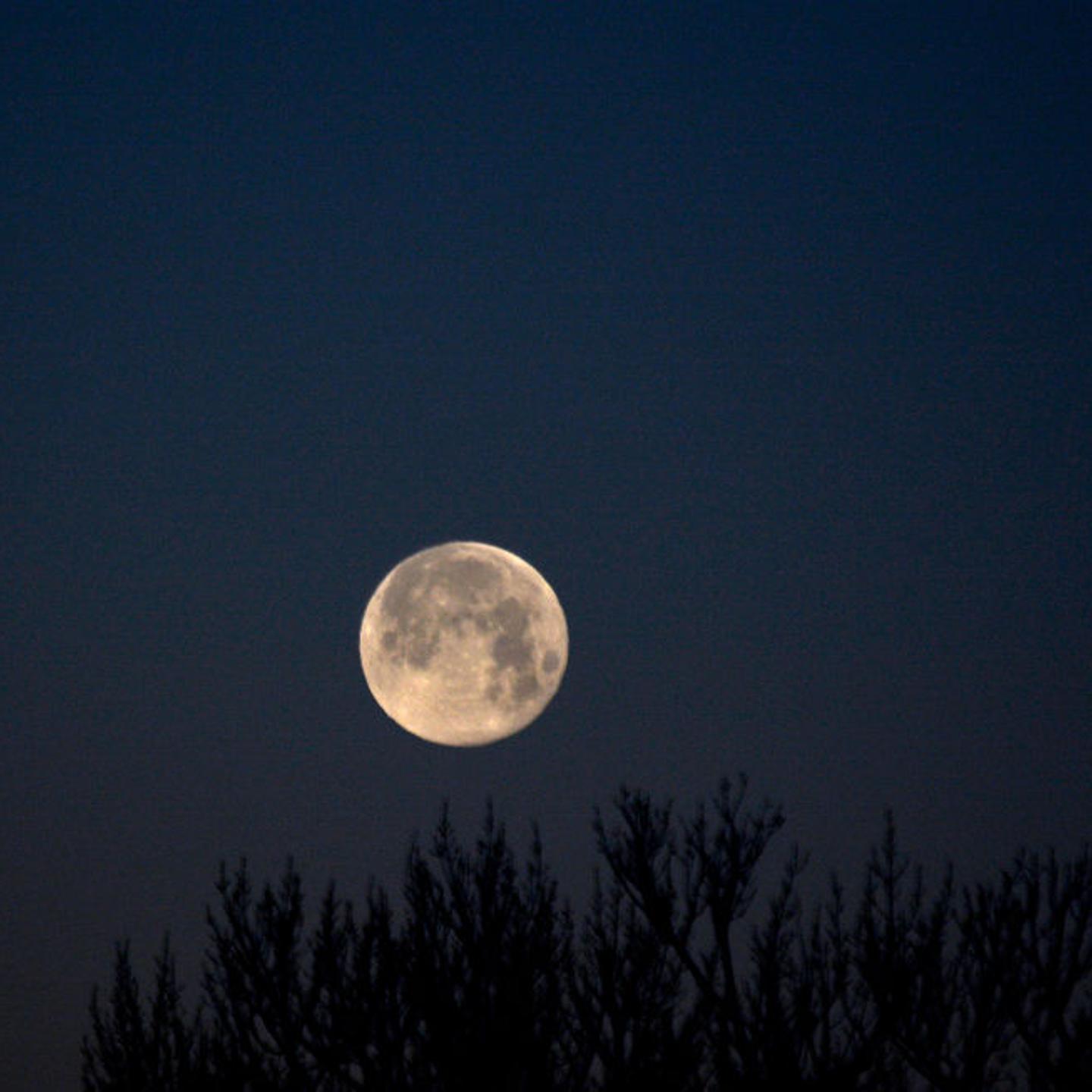 A picture of the moon