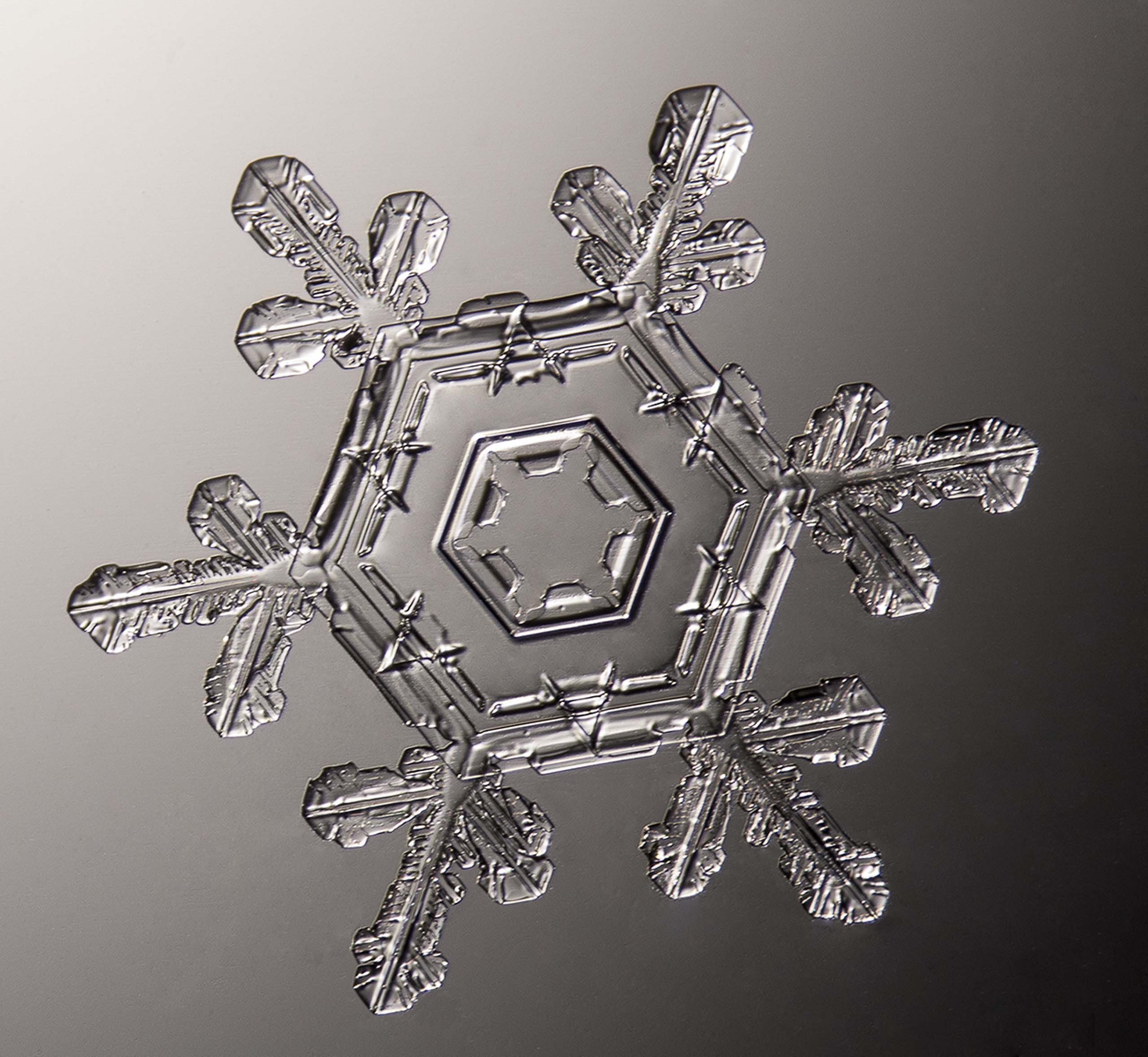 Get Up Close and Personal with Beautiful Snowflakes