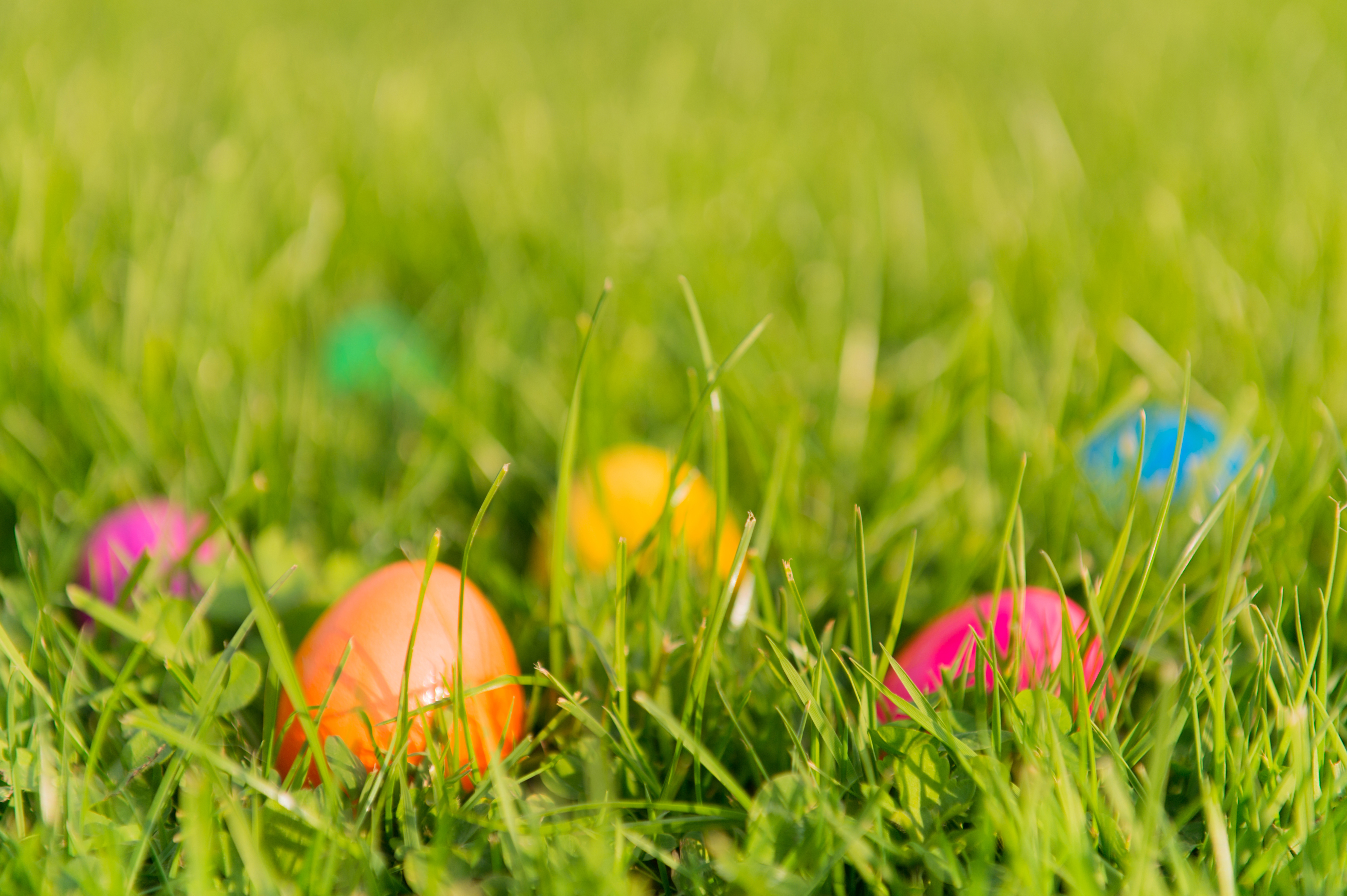 origin-of-easter-eggs-grass-spring