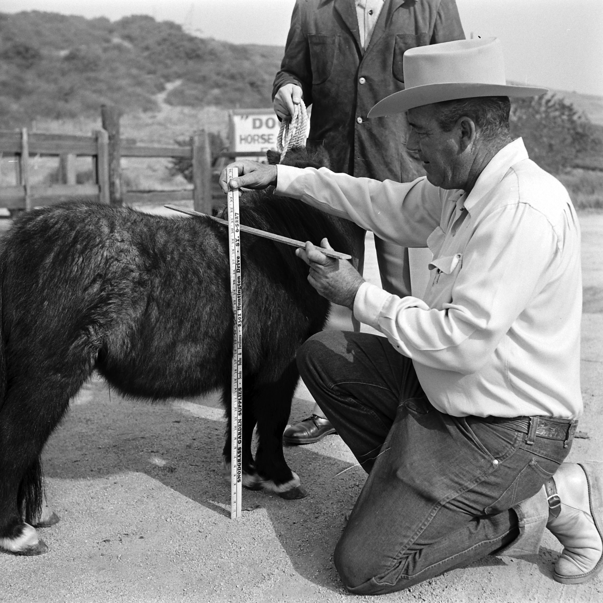 Ronnie getting sized up.