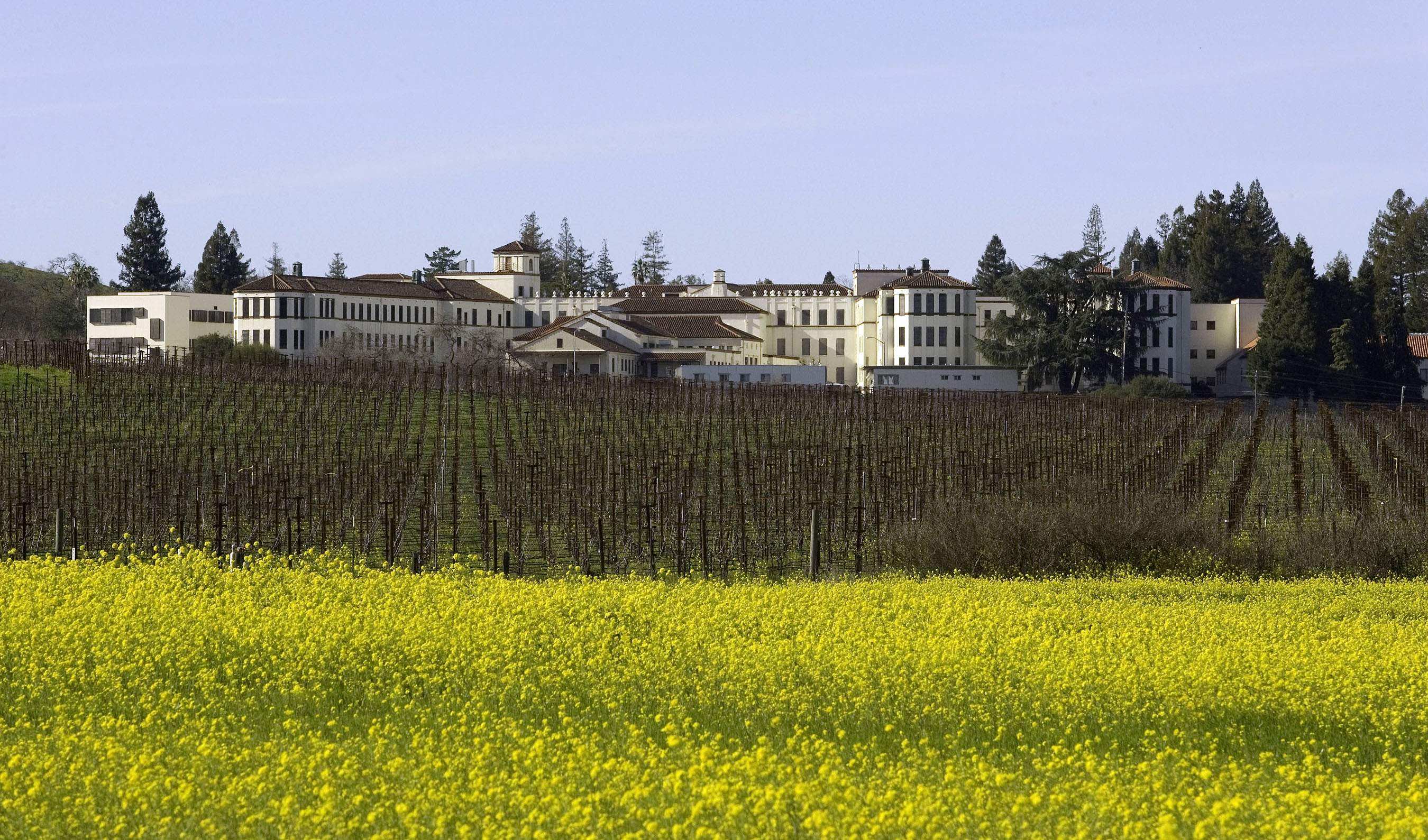 The Veteran's Home is situated past vineyards and the Vintne