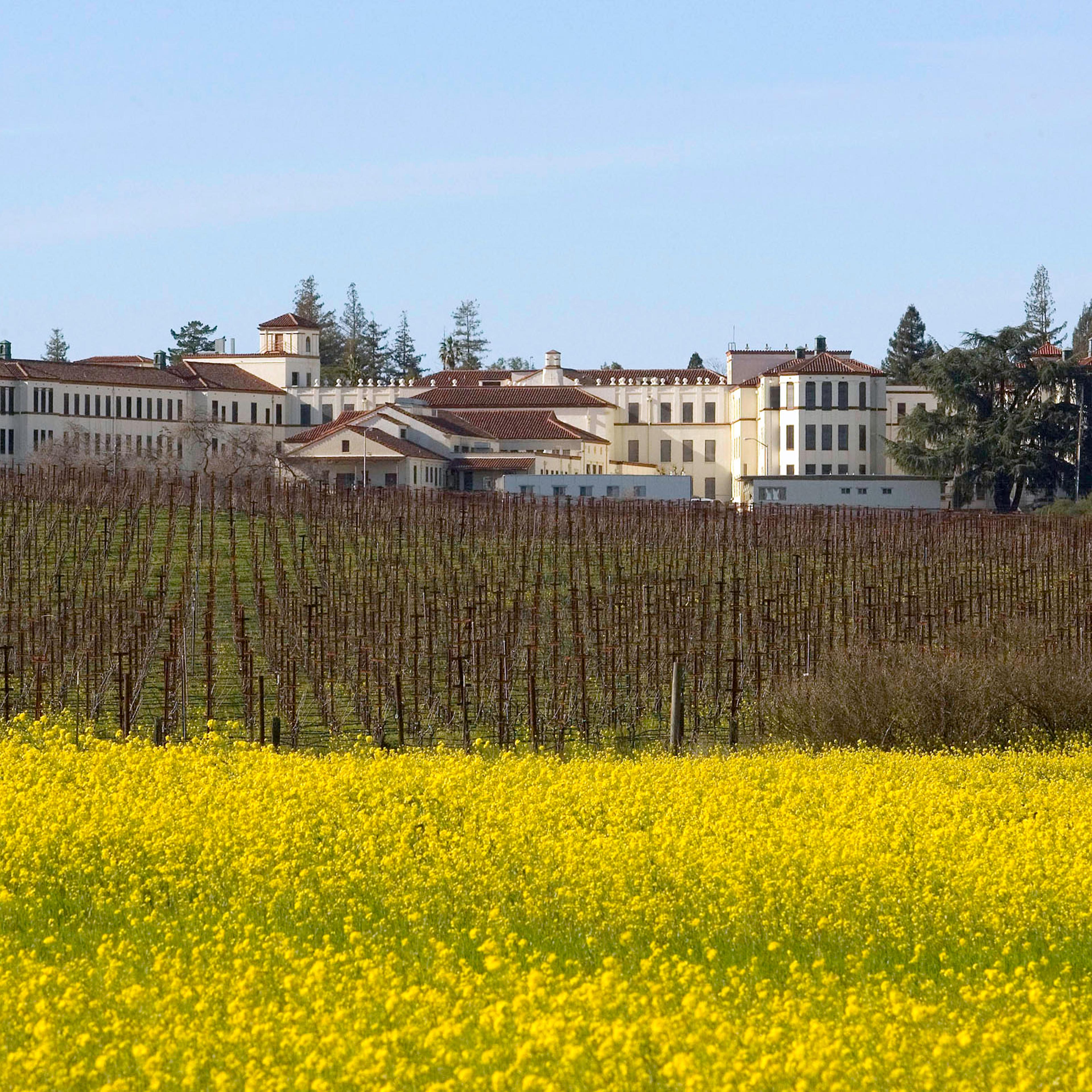 The Veteran's Home is situated past vineyards and the Vintne