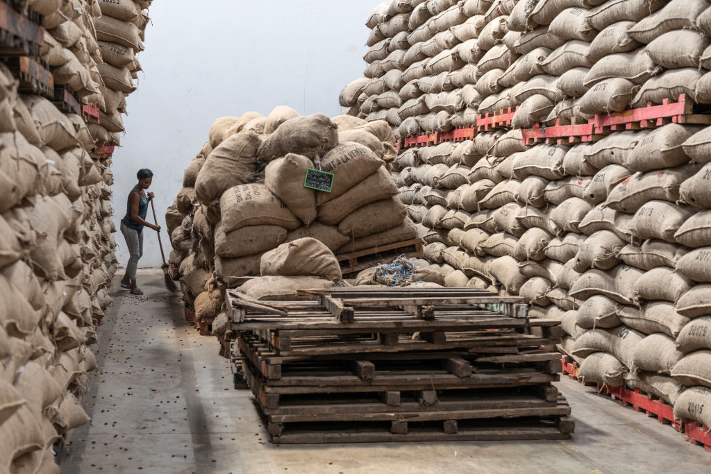 Operations at Awazen Cocoa Processing Plant