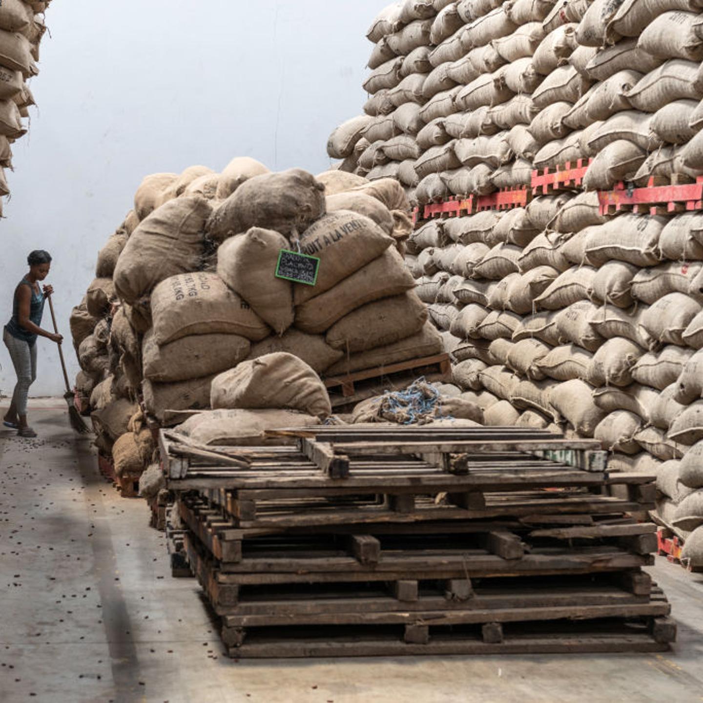 Operations at Awazen Cocoa Processing Plant