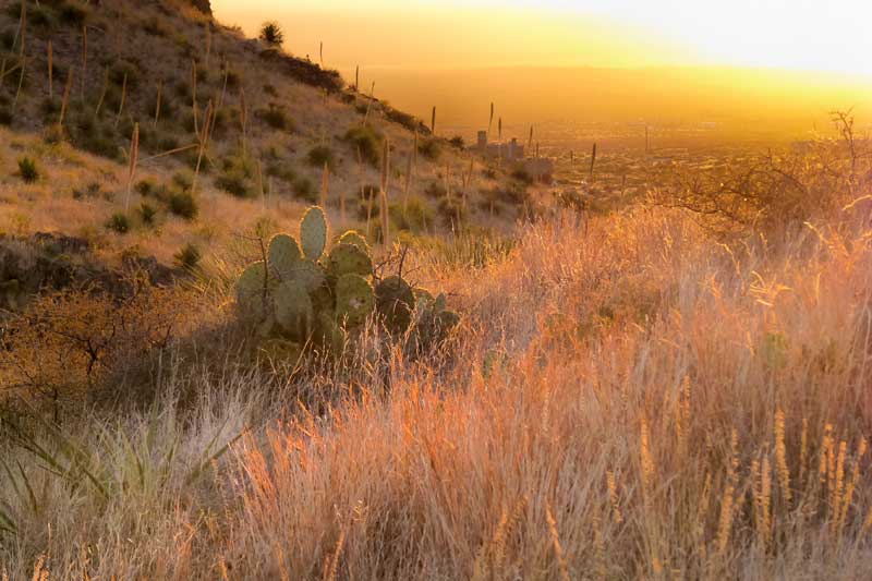 Organ Mountains-Designation