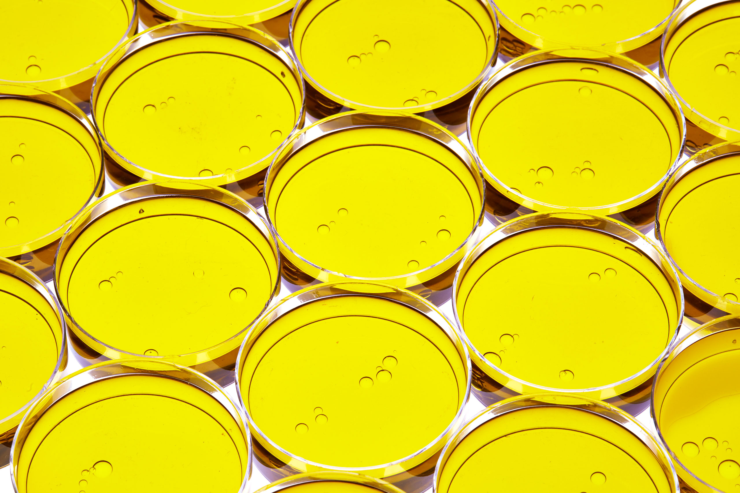 healthiest foods, health food, diet, nutrition, time.com stock, olive oil, fats