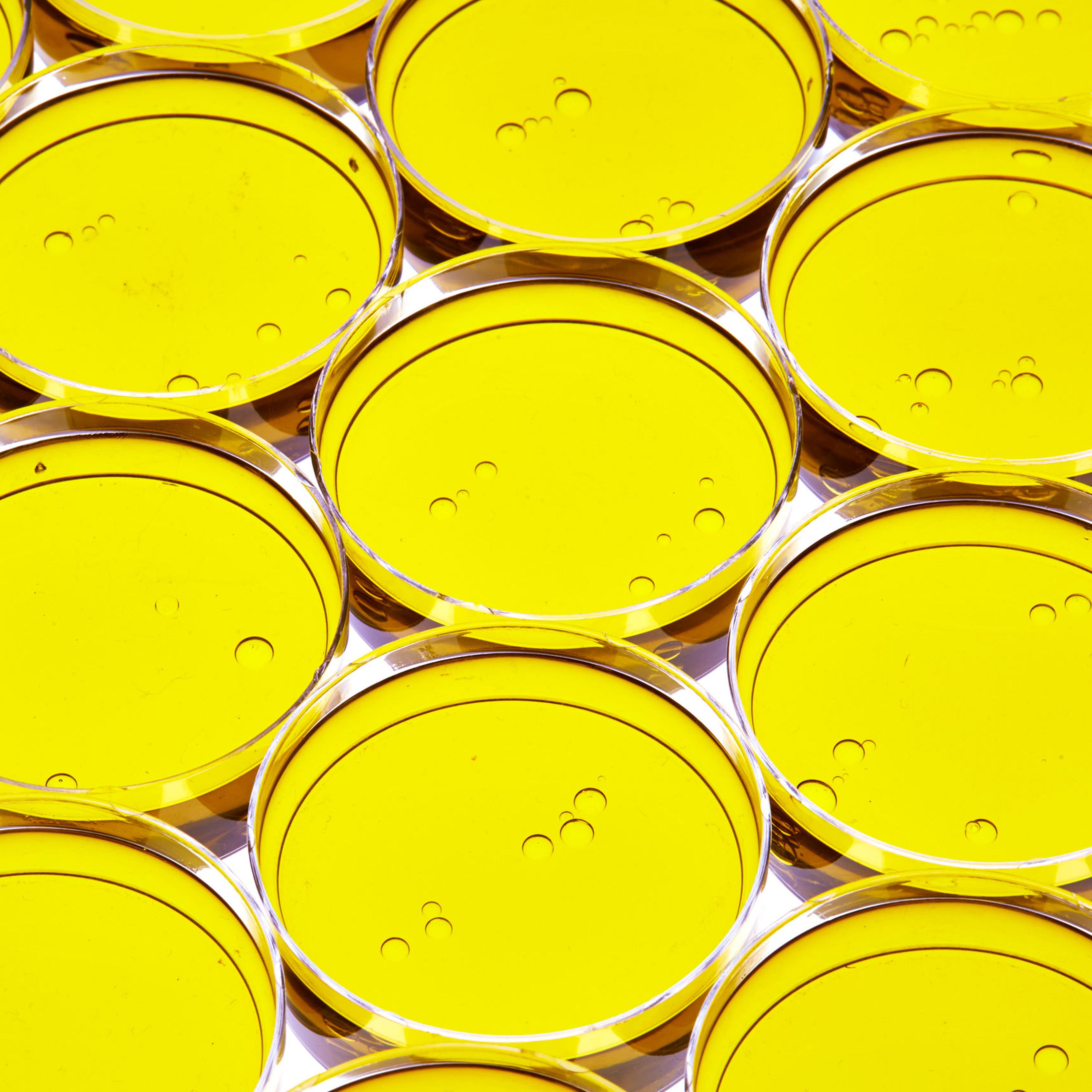 healthiest foods, health food, diet, nutrition, time.com stock, olive oil, fats