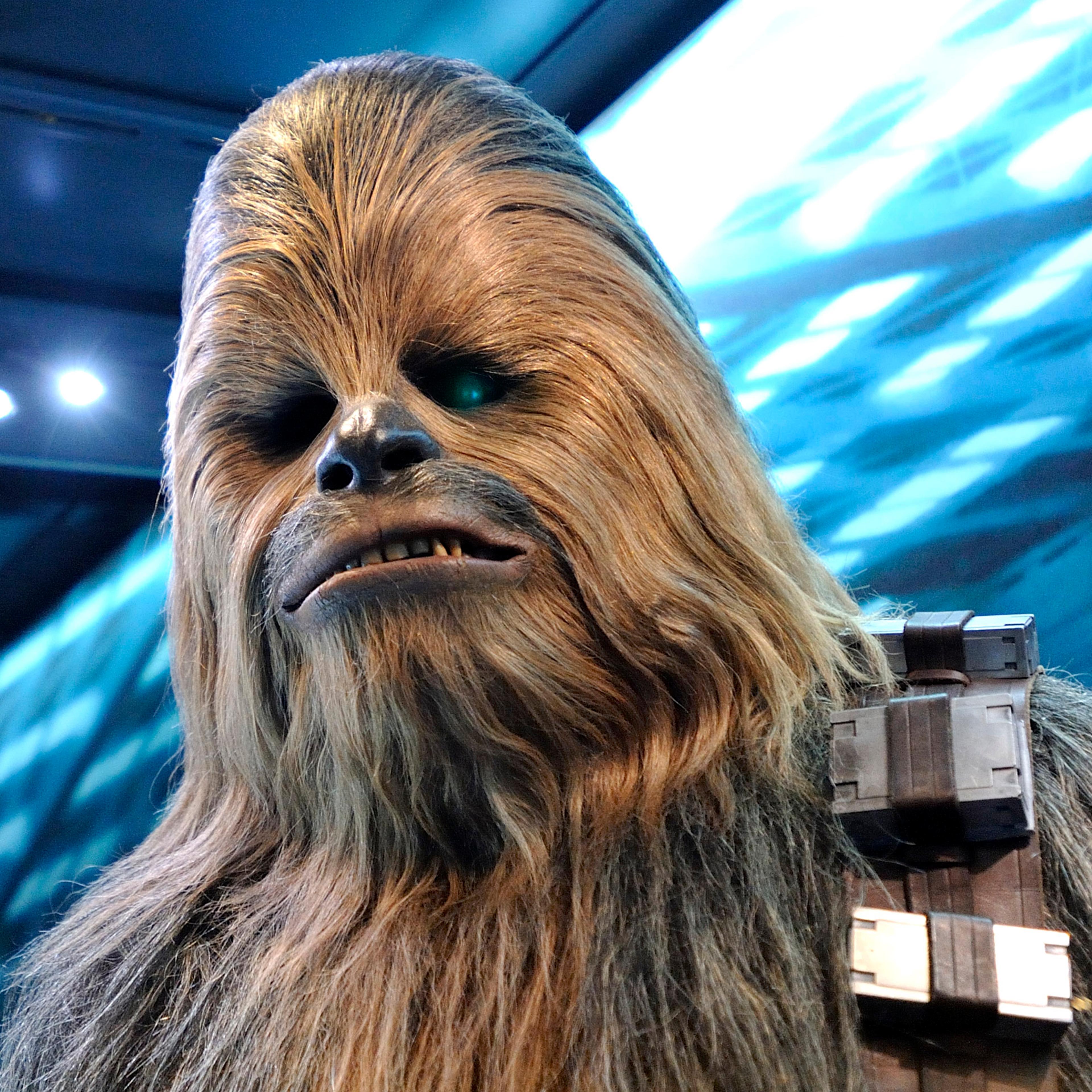 Chewbacca during a Straw Wars press event.