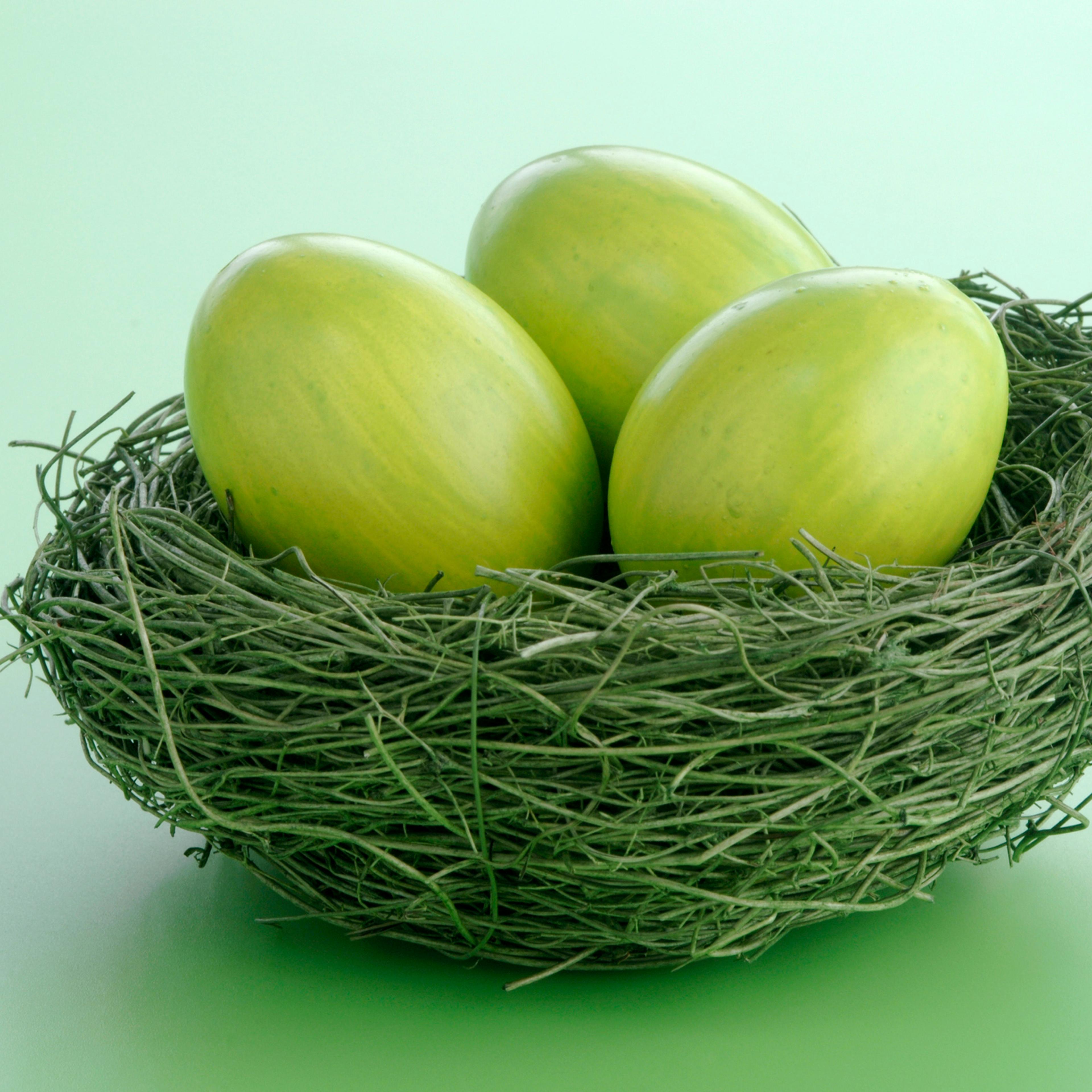 Easter eggs in nest