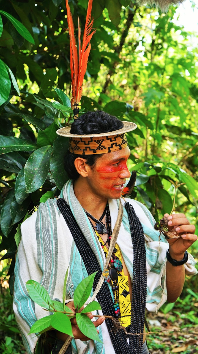 Benki Pyãnko Ashaninka community leader Brazil