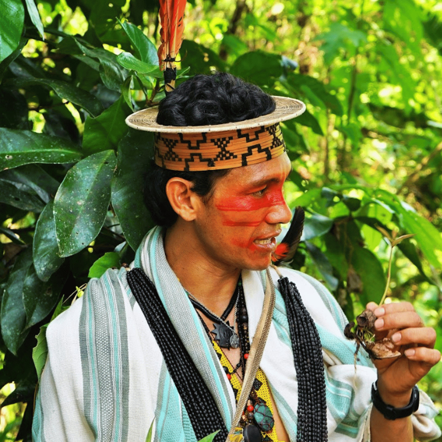 Benki Pyãnko Ashaninka community leader Brazil