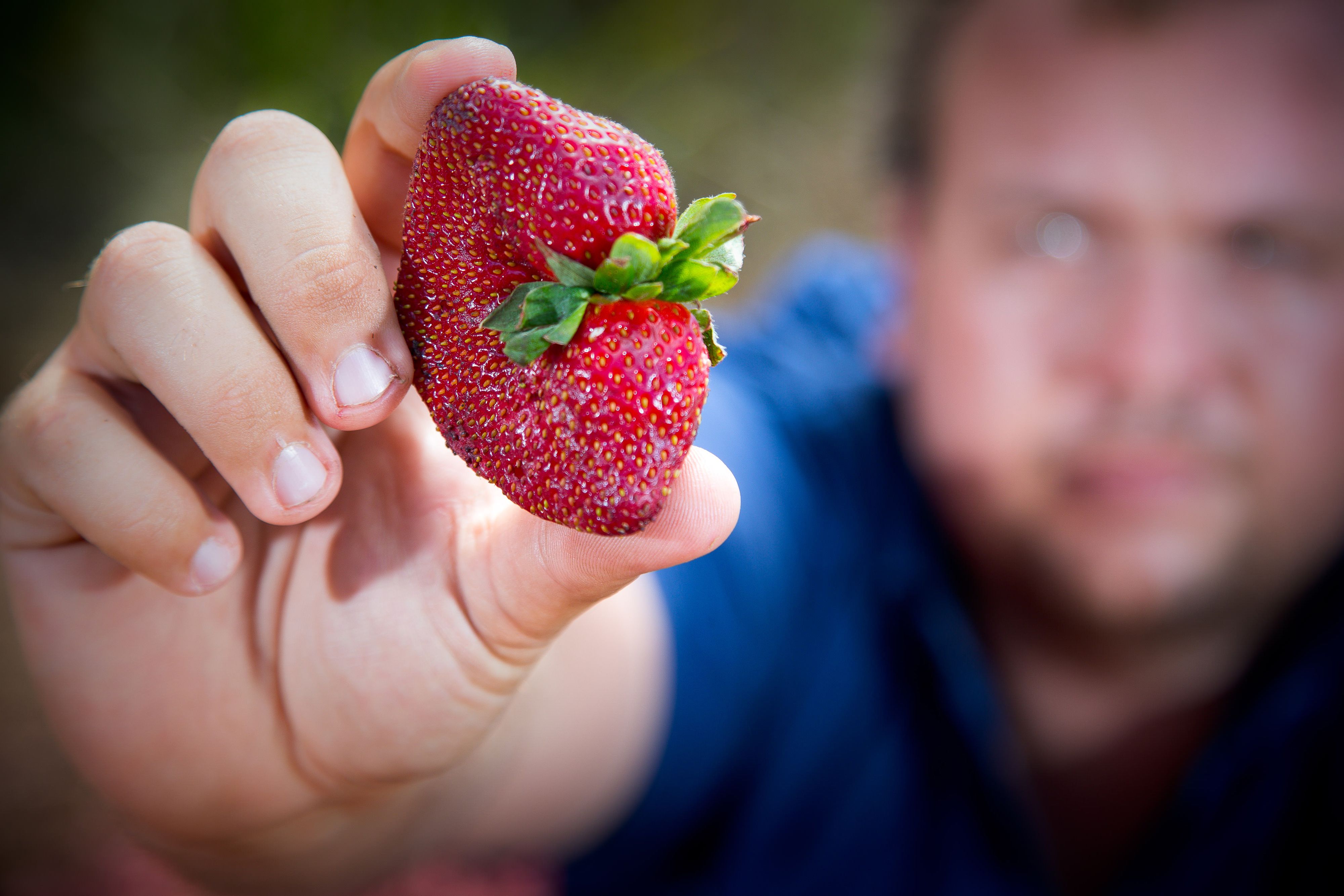 AUSTRALIA-CRIME-FRUIT