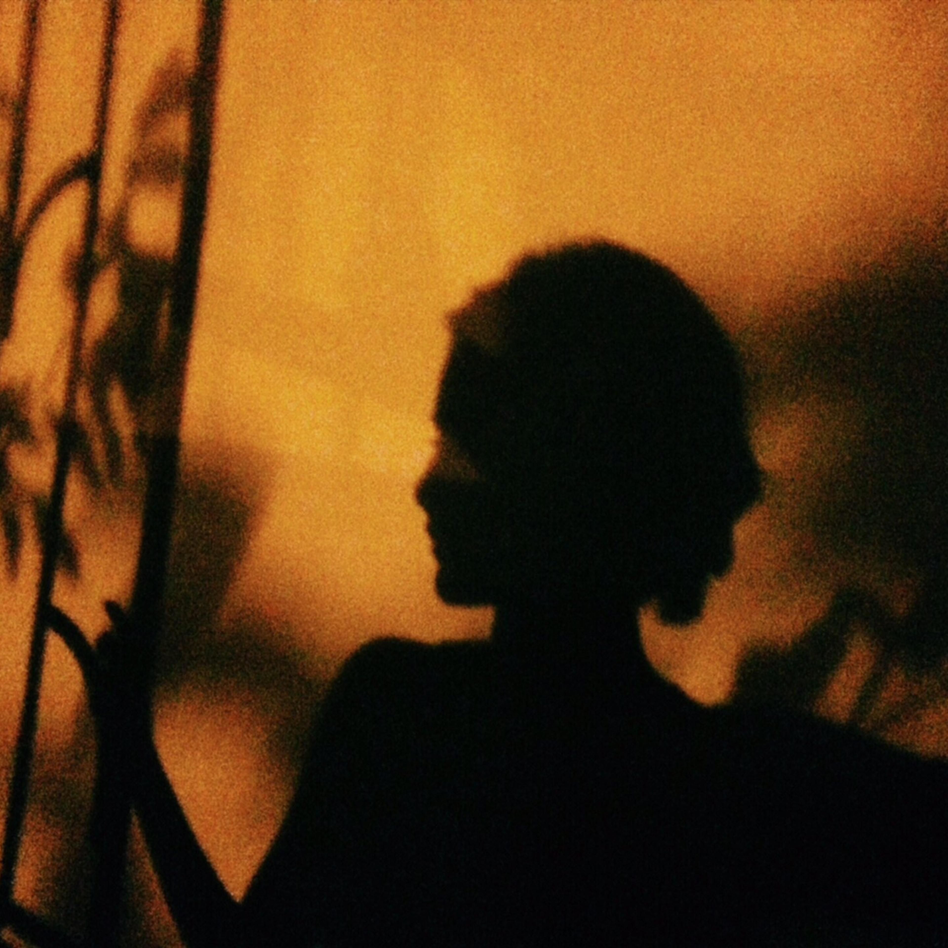 Shadow On Woman On Wall