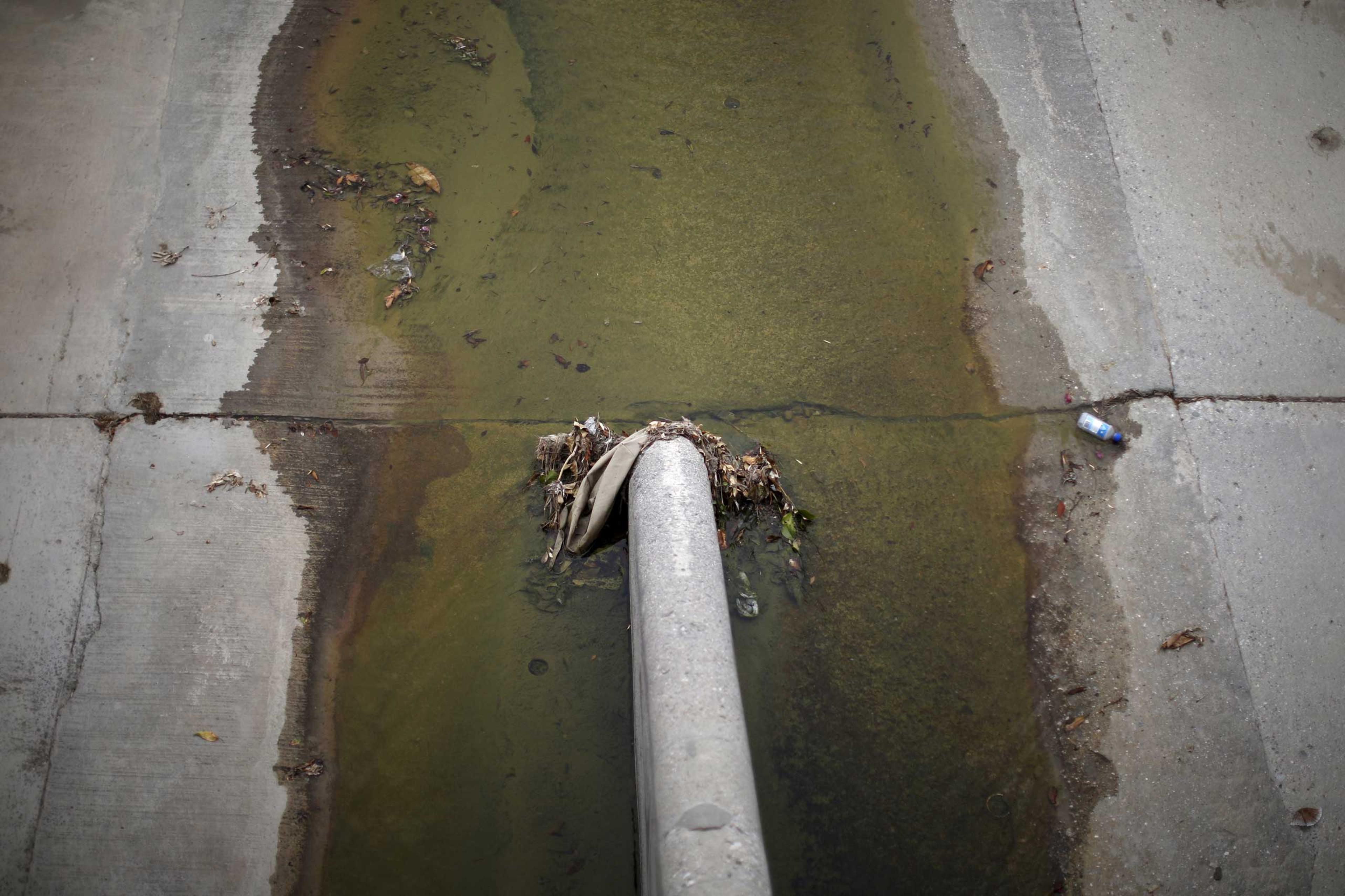 A creek is seen in Northridge
