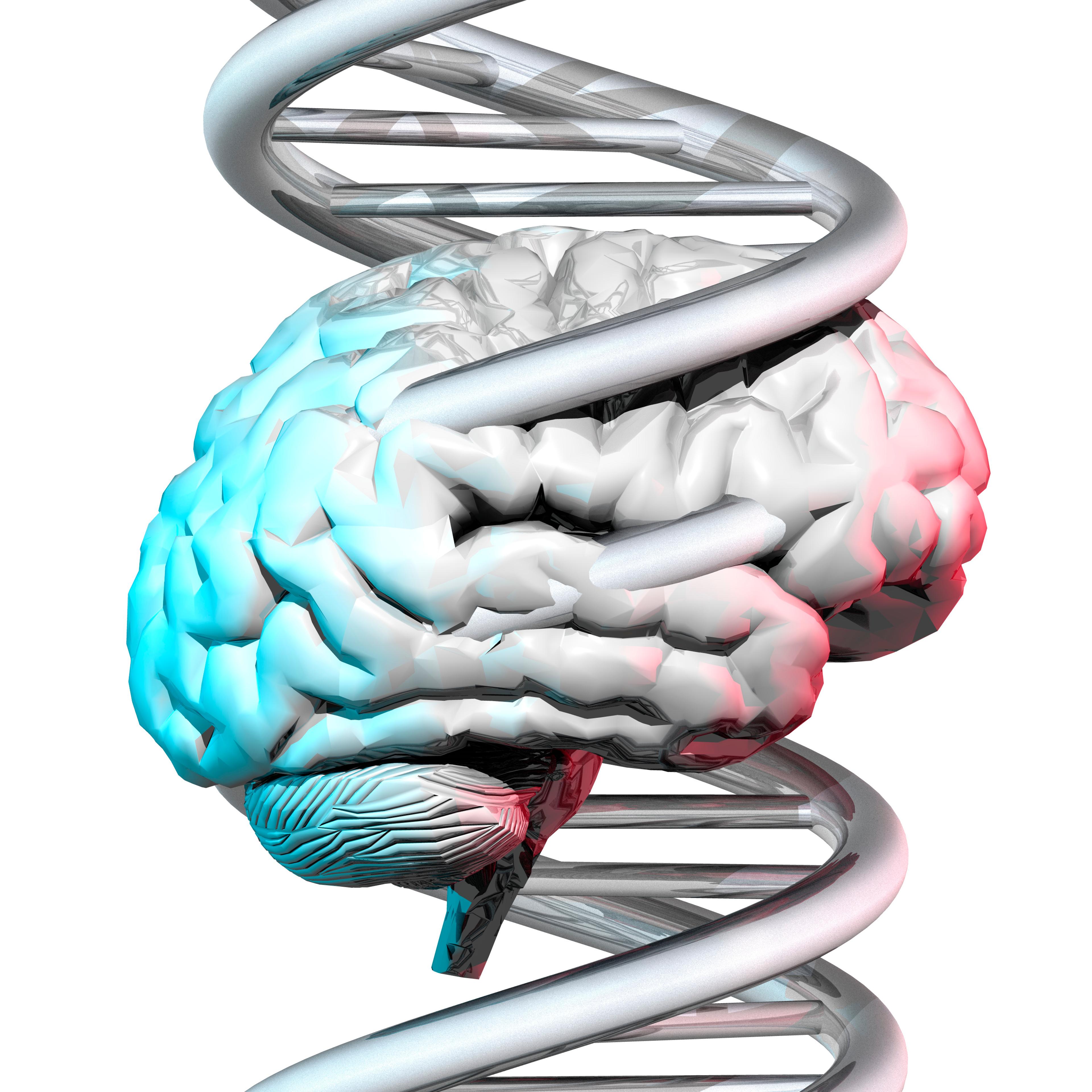 Brain and DNA