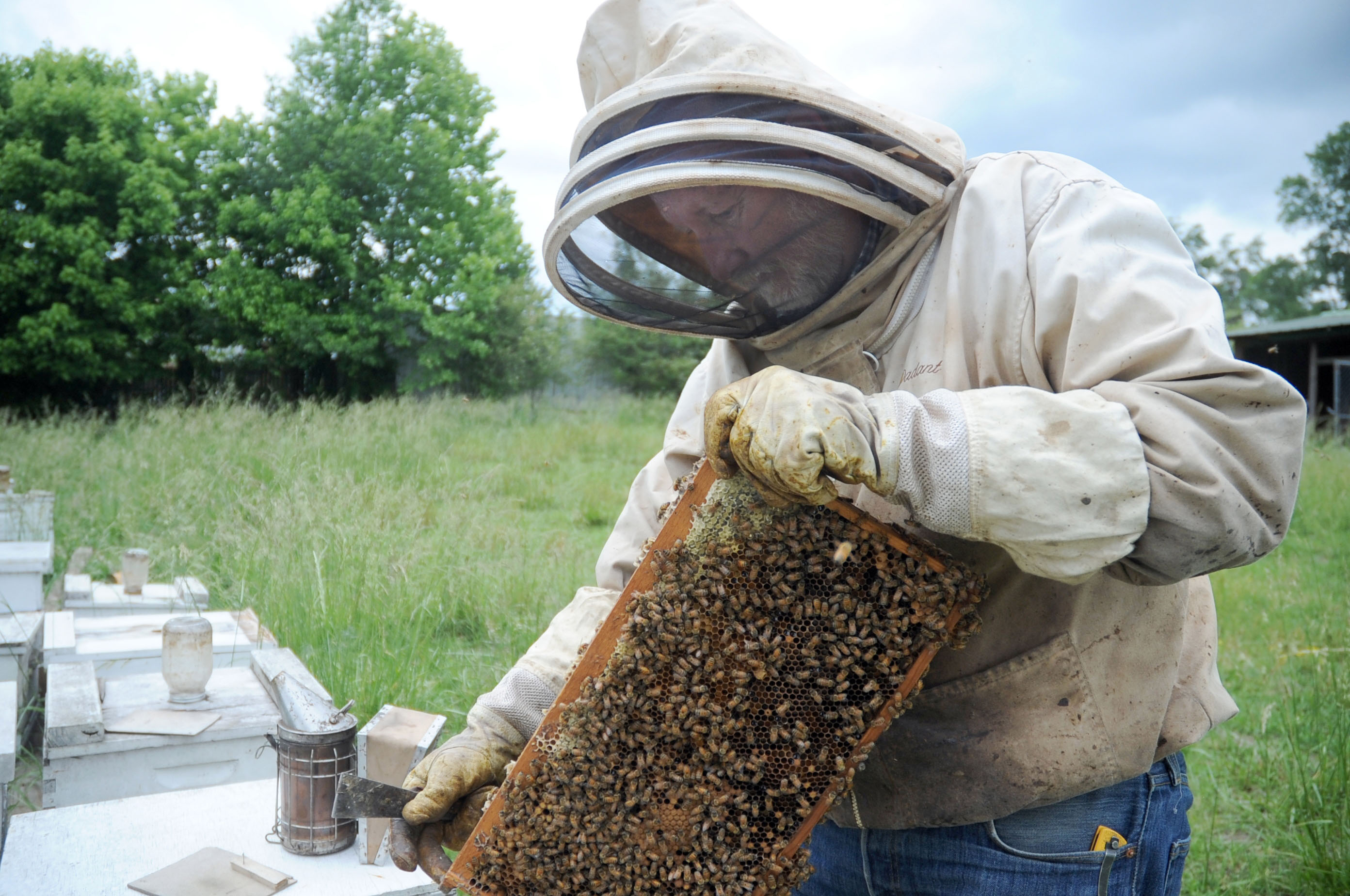 Exchange Busy Beekeeper
