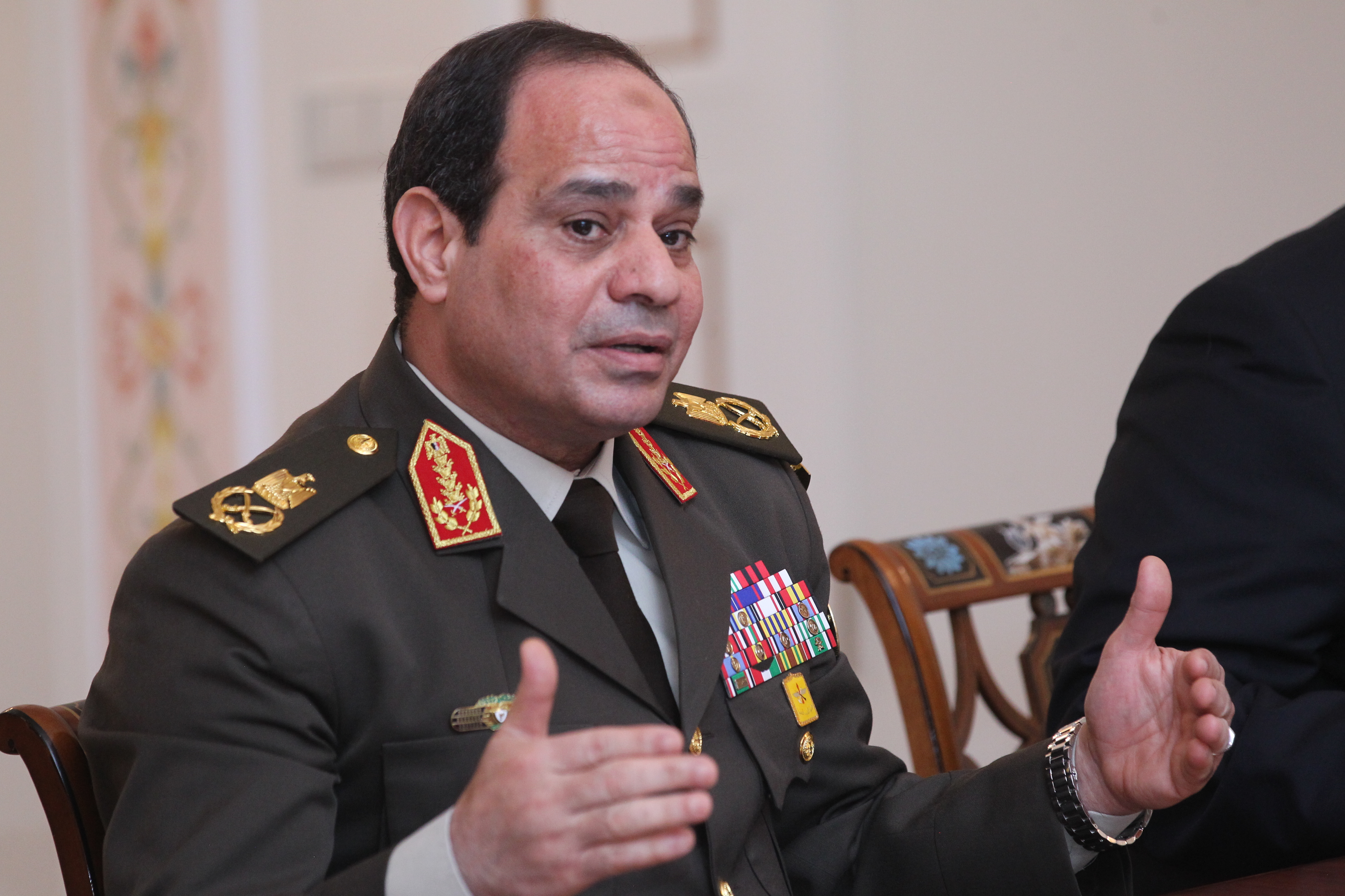 Egypt's Minister of Defense, First Deputy Prime Minister and presidential candidate, Field Marshal Abdel Fattah el-Sisi meets with Russian President Vladimir Putin (not pictured) in Novo-Ogaryovo residence on Feb. 13, 2014 near Moscow.