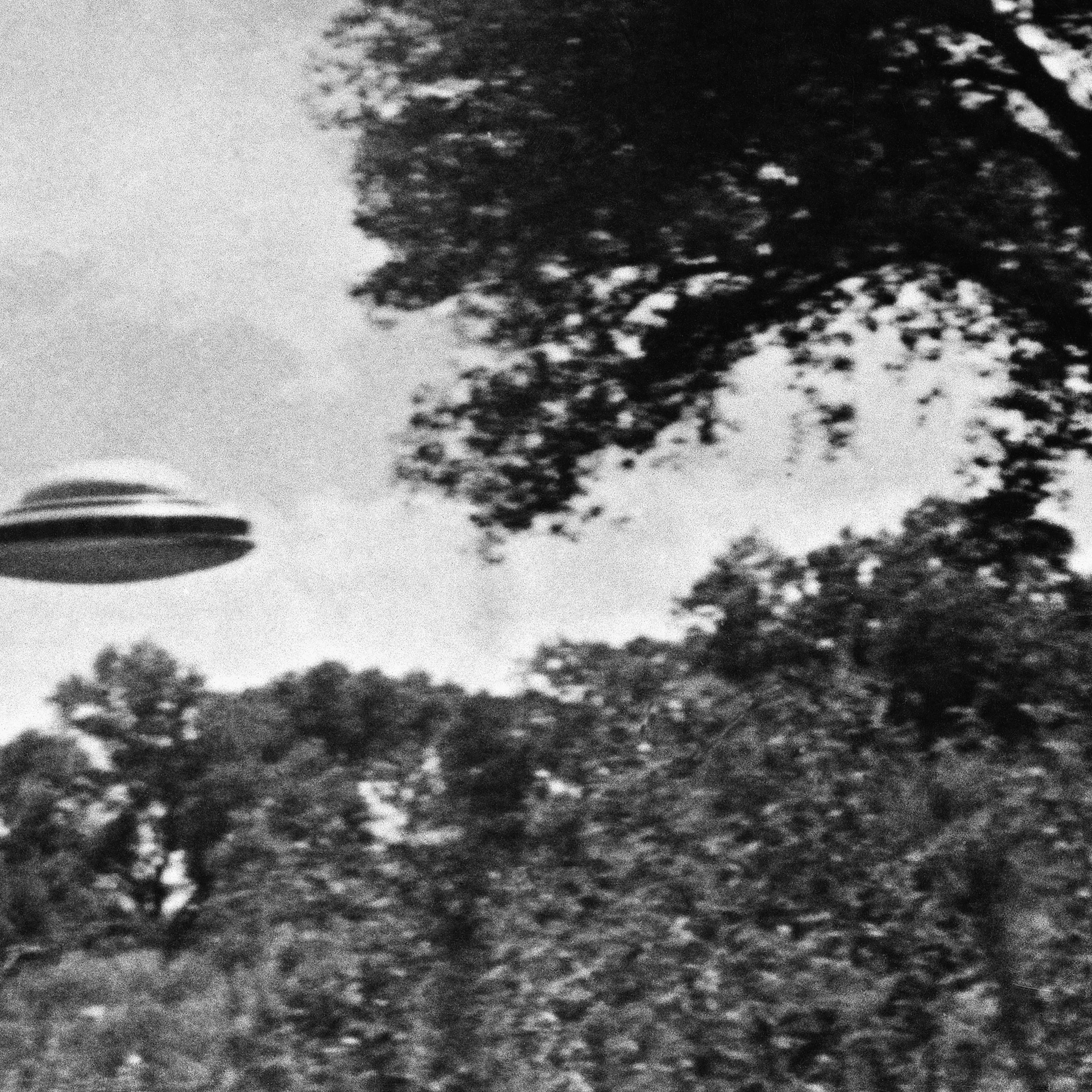 UFO Flying Low Over Trees in Los Angeles, 1963