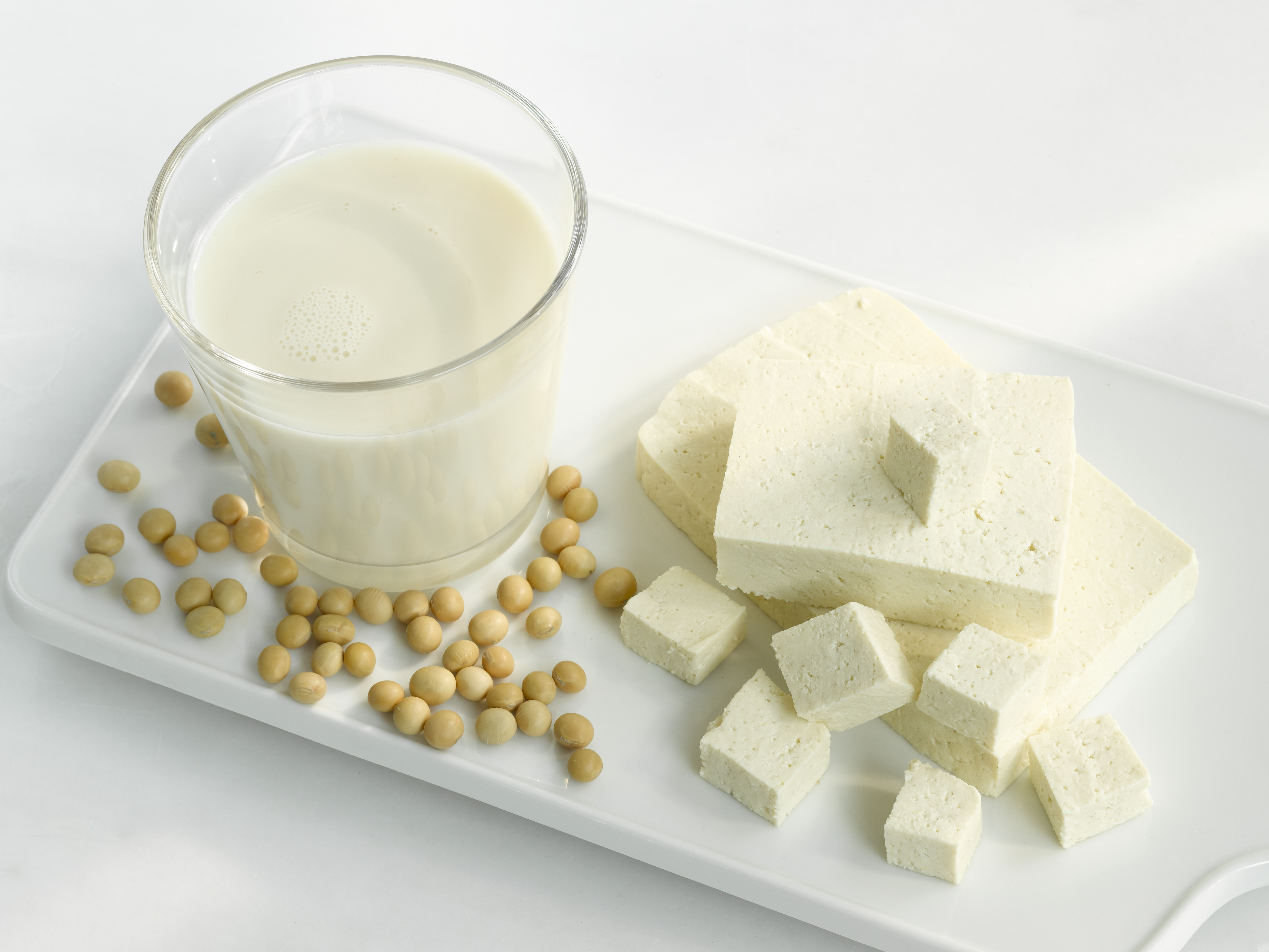 Tofu, soya milk and soya beans in tray, close-up