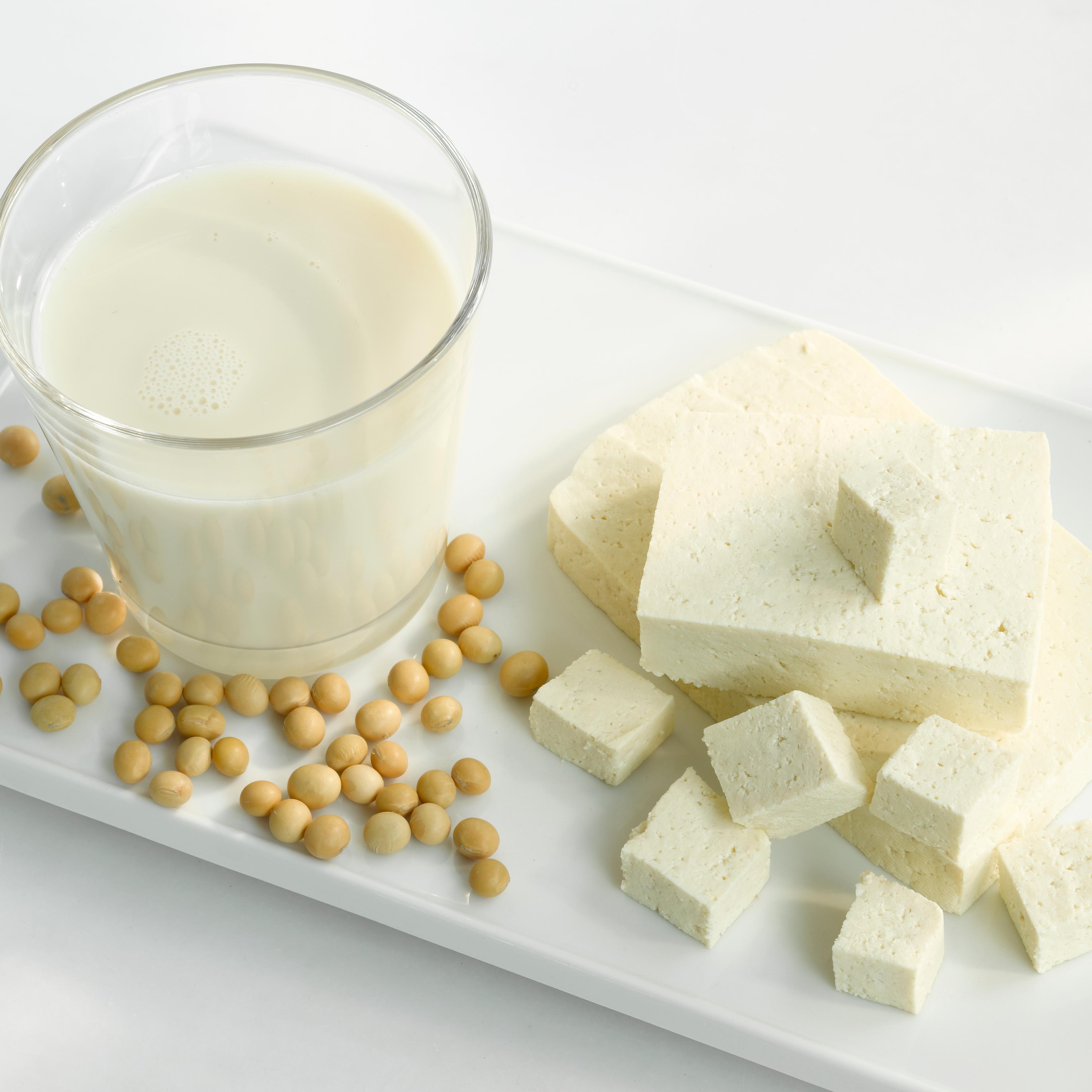 Tofu, soya milk and soya beans in tray, close-up