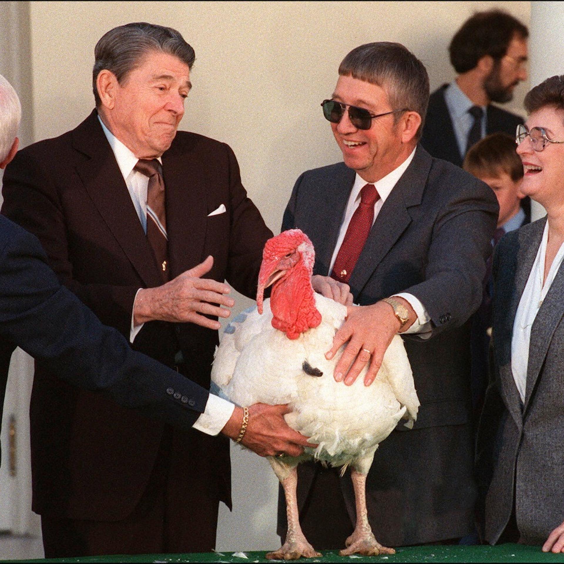 Ronald Reagan and Turkey