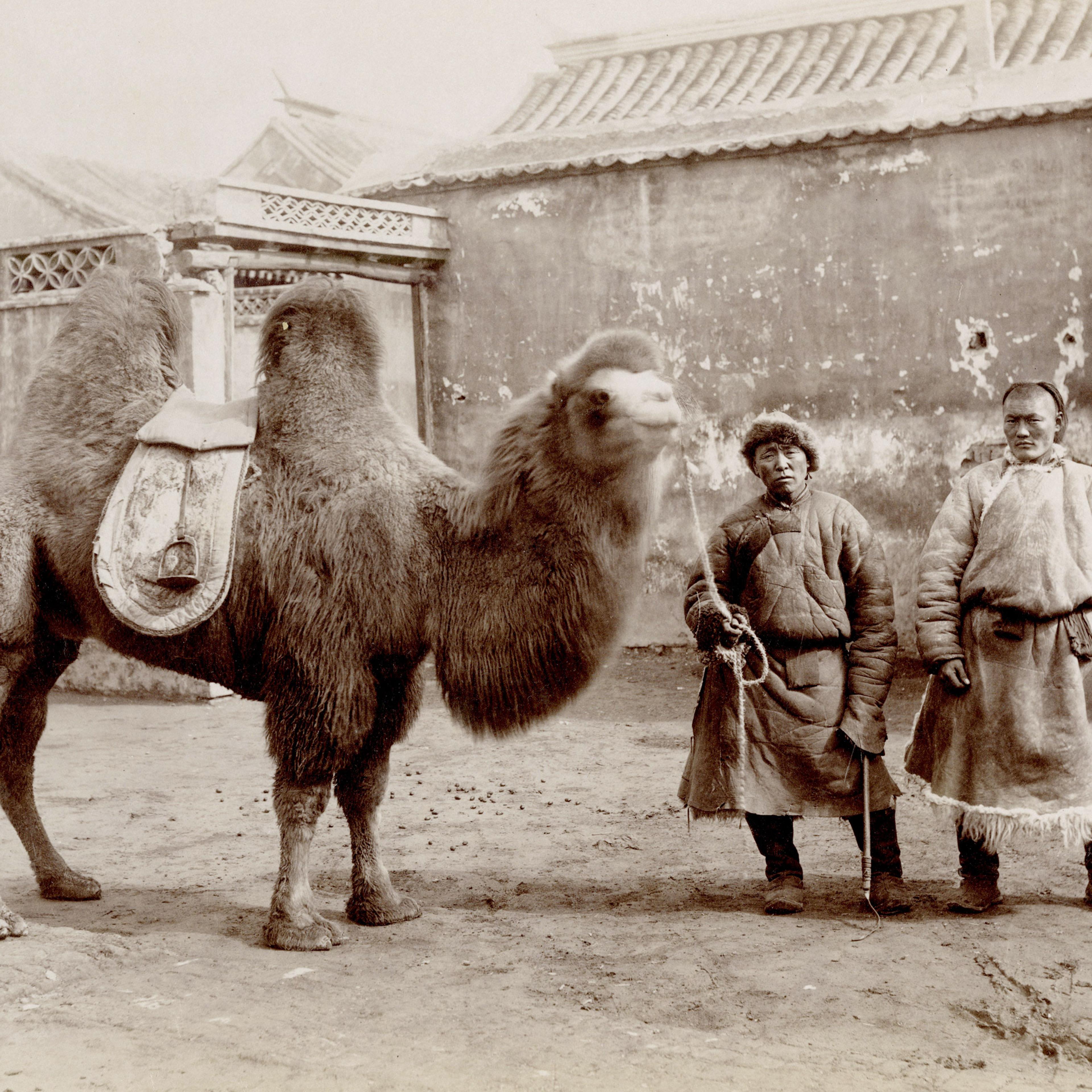 Rare early masterpieces of Chinese photography.