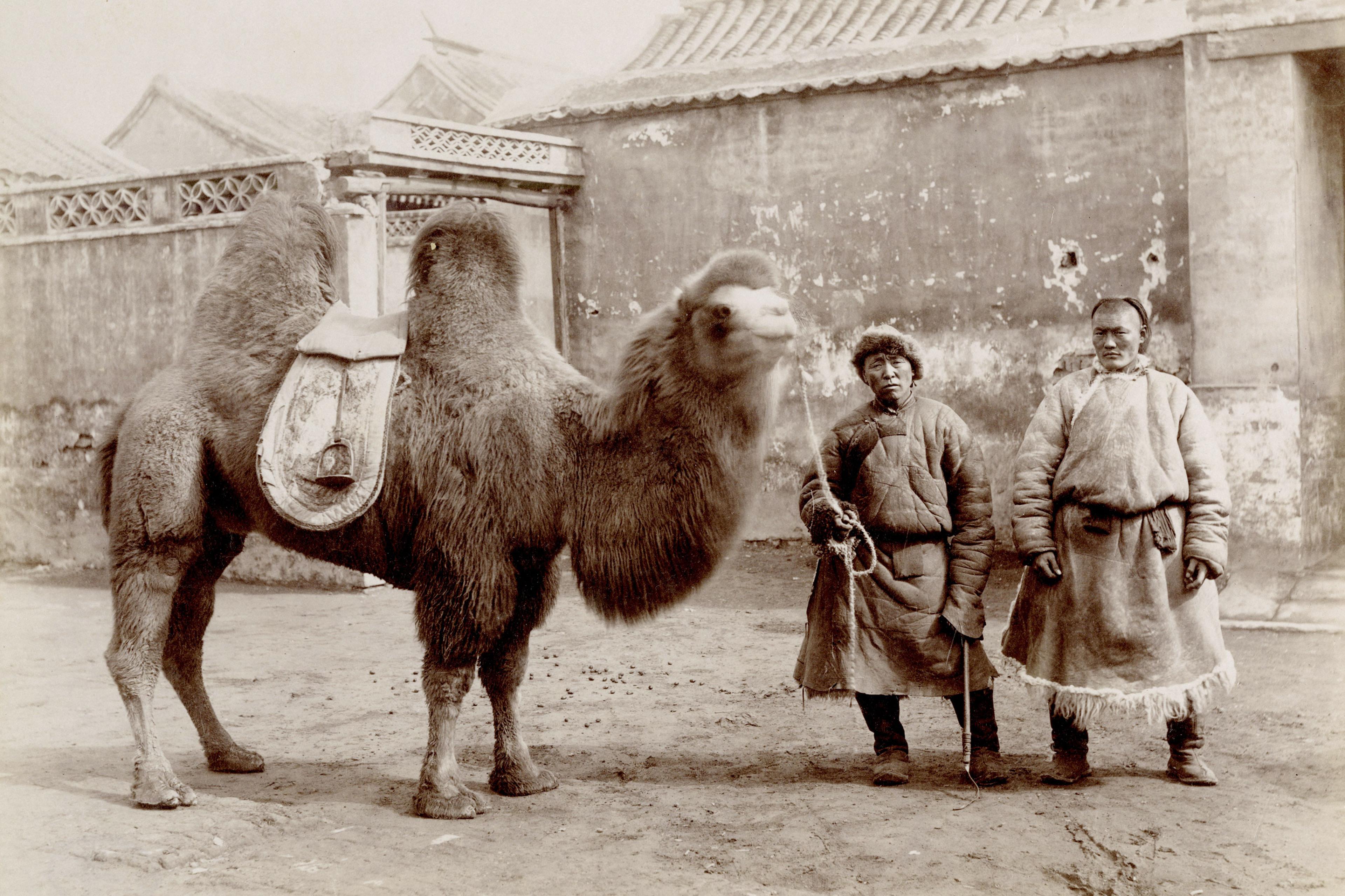 Rare early masterpieces of Chinese photography.