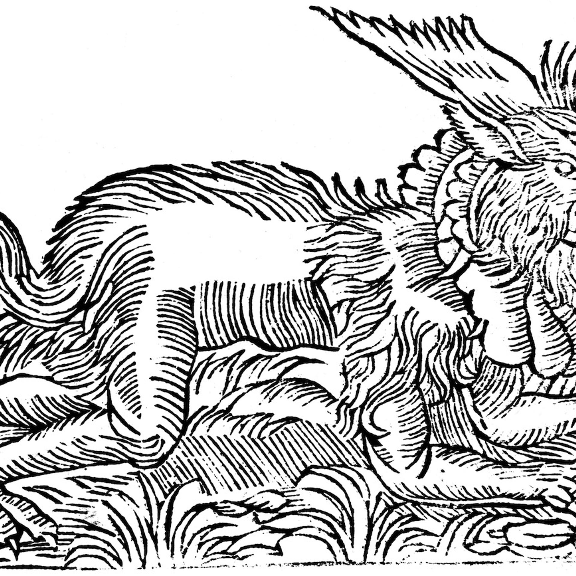 Lycanthropy: forest demon captured in Germany in 1531 (1669).