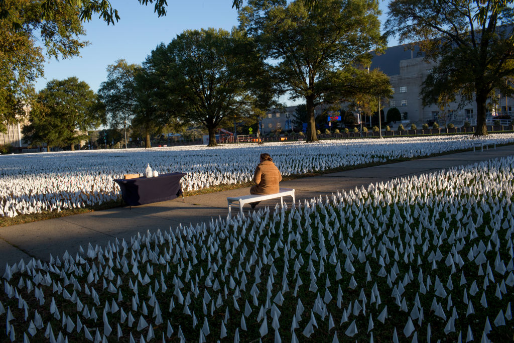COVID Memorial in Washington D.C.