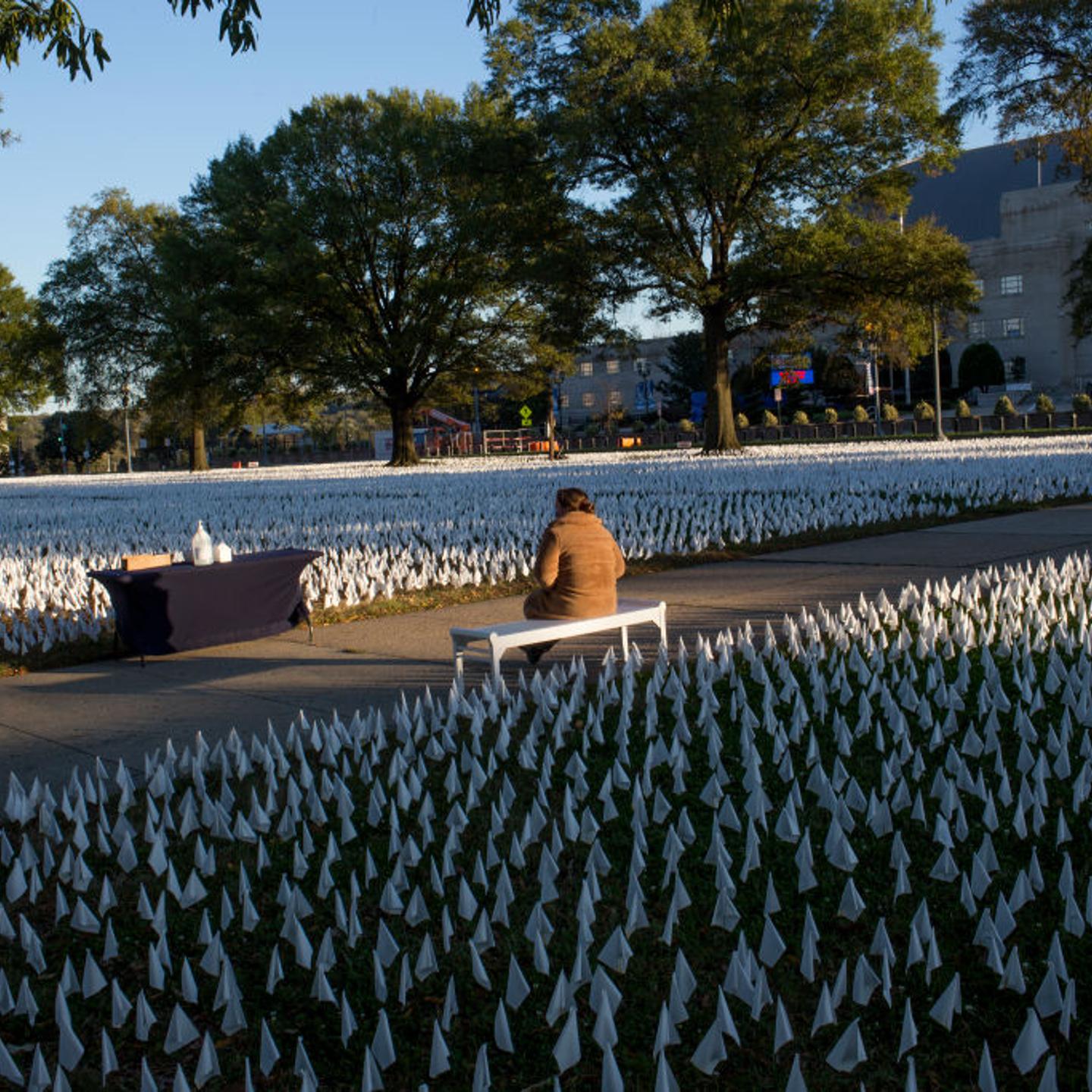COVID Memorial in Washington D.C.