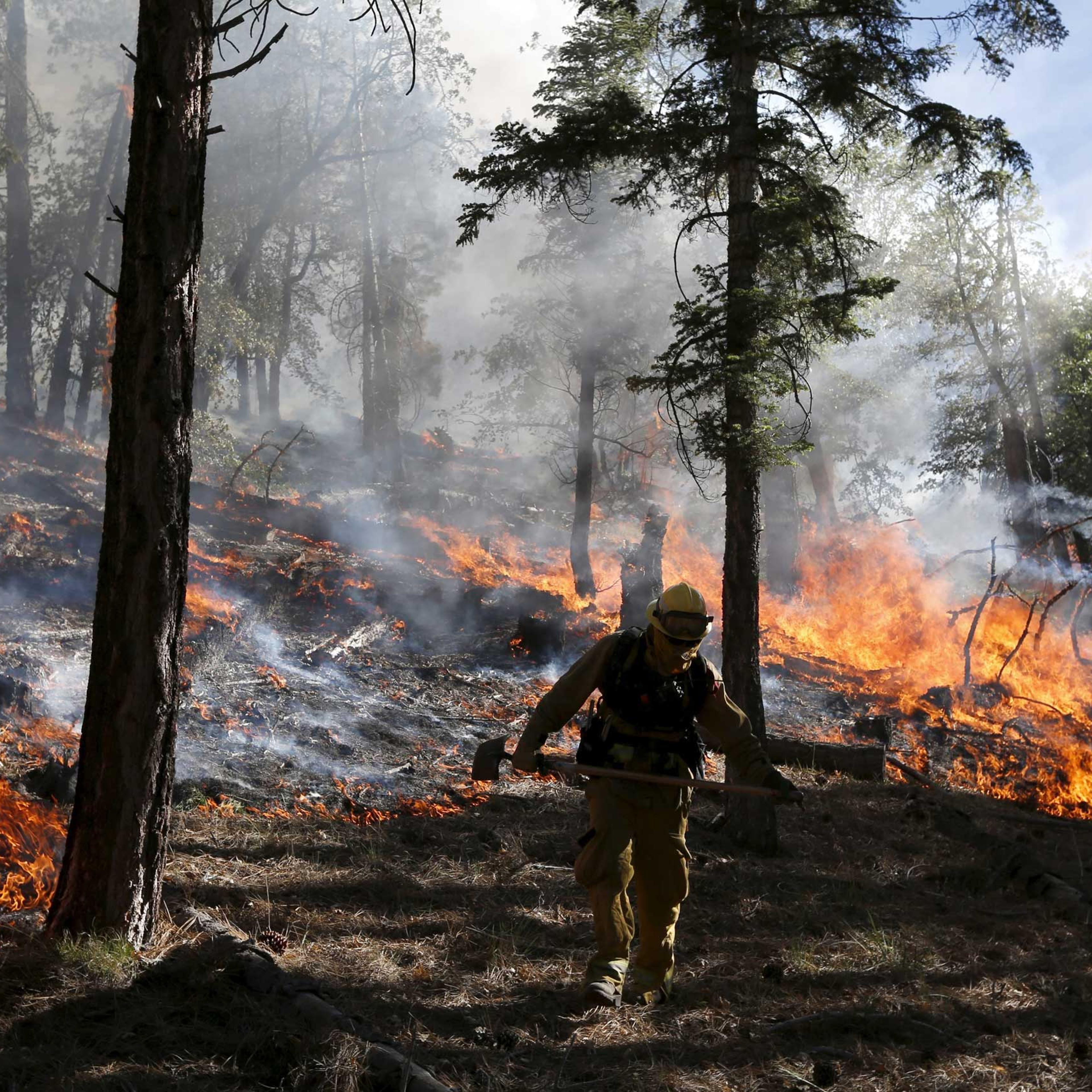 California Wildfire Lake Fire San Bernardino