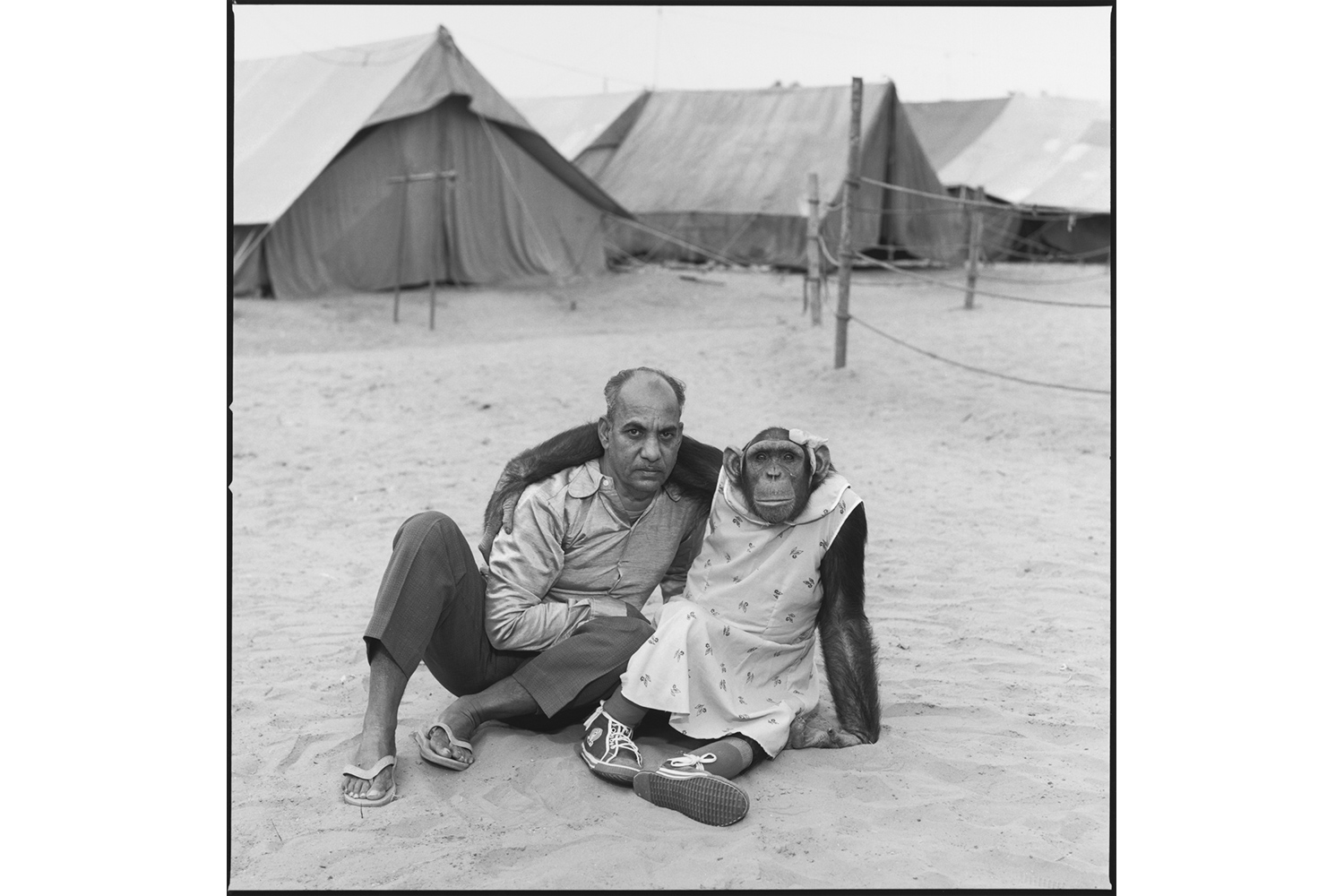 "He [Arjun] <i>loved</i> her. Mira was his darling. She could do no wrong. Even biting me was OK. I wanted to get a rabies shot, and he looked at me like, 'How <i>dare</i> you think that <i>you</i> would want to get a rabies shot with <i>my</i> Mira.'"
<br />
<br />
<i>Arjun with his Chimpanzee Mira, Great Royal Circus, Gujarat, India, 1989</i>