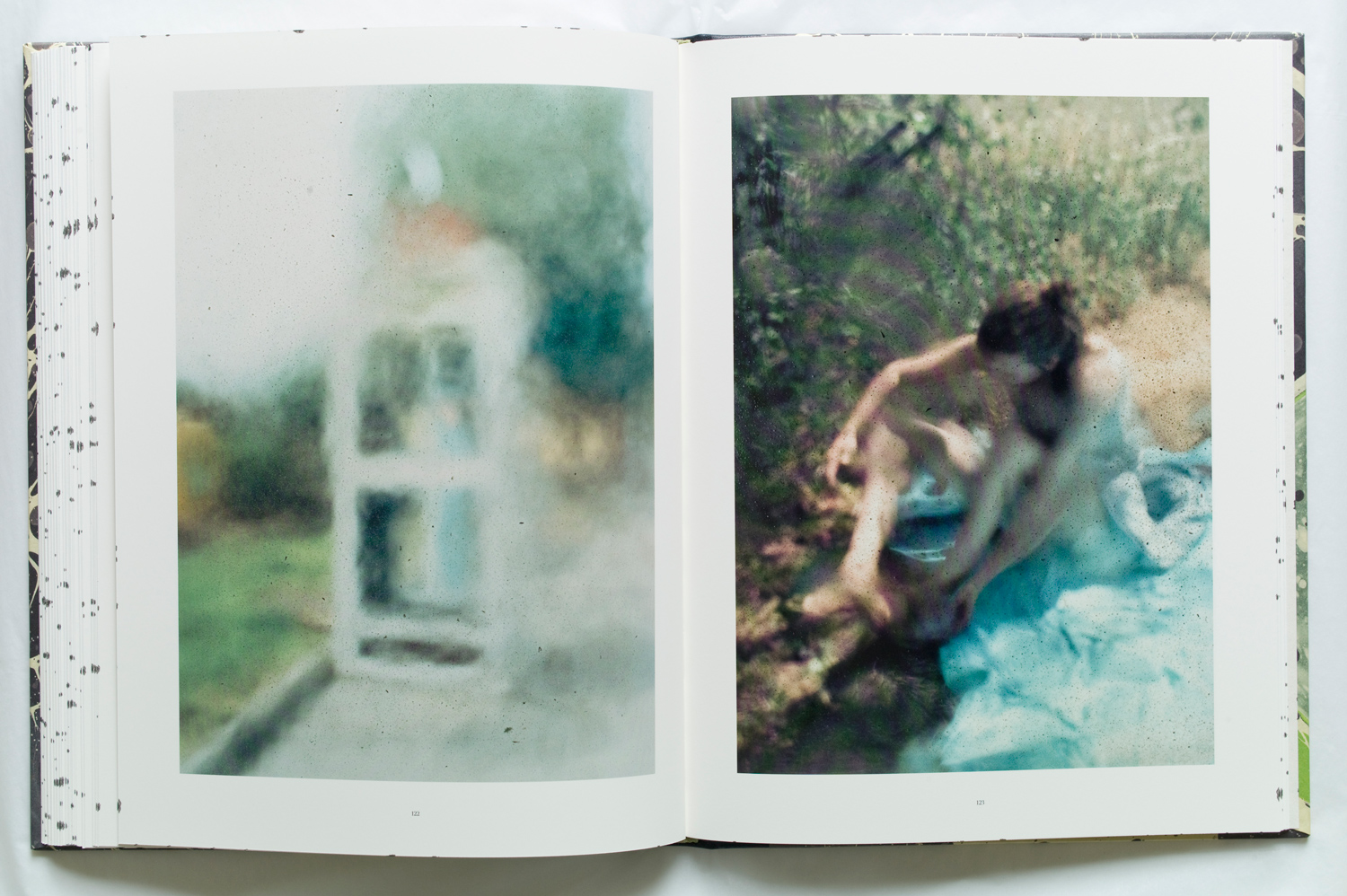 Pages are from Stephen Gill's latest book <i>Coexistence</i>.