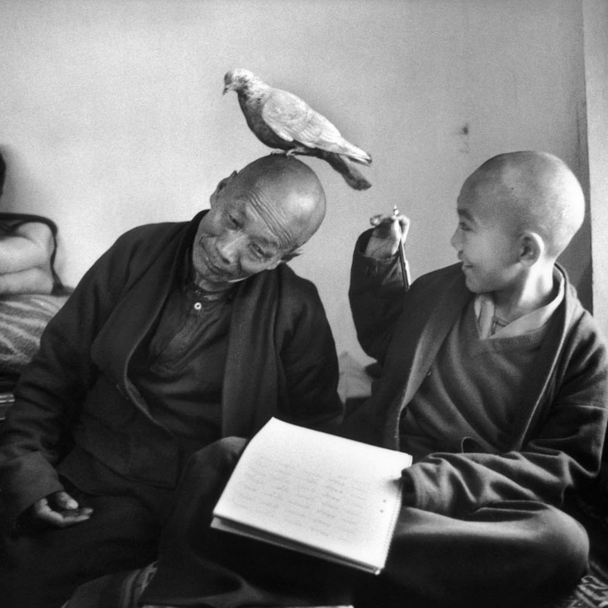 Shechen Monastery, Nepal. Tulku Khentrul Lodro Rabsel, 12, with his tutor Lhagyel, 1996.