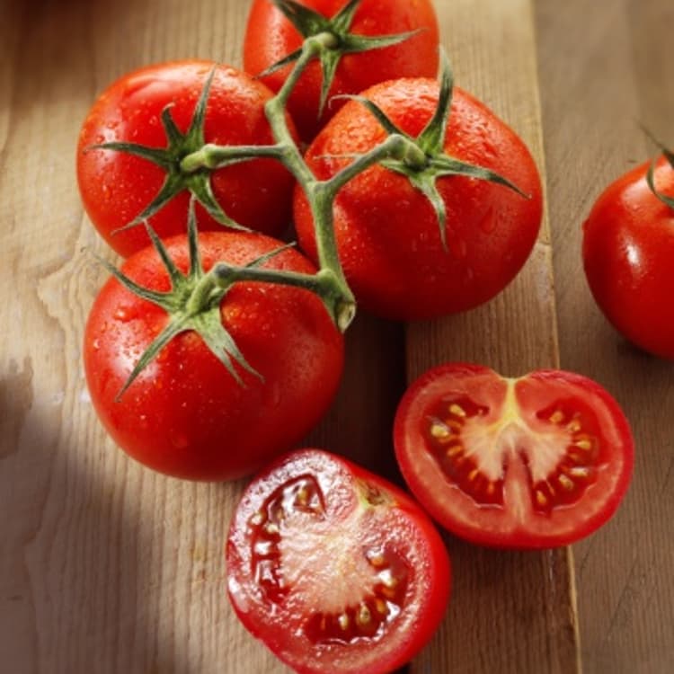 vine-tomatoes