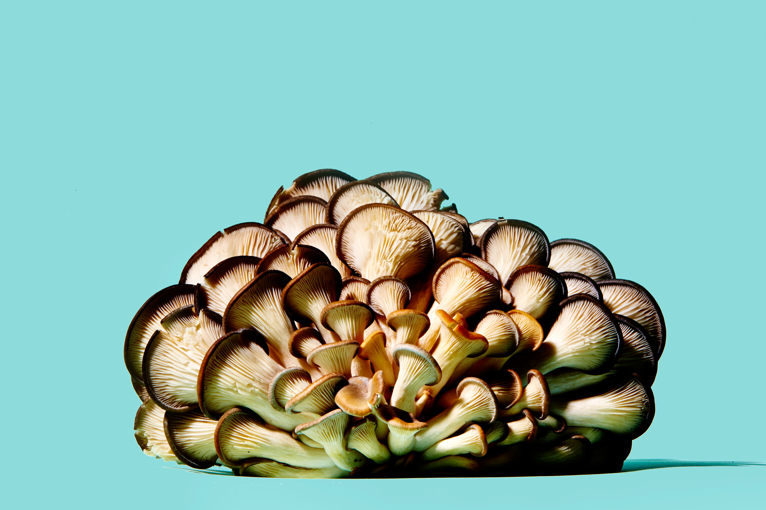 healthiest foods, health food, diet, nutrition, time.com stock, mushrooms, vegetables
