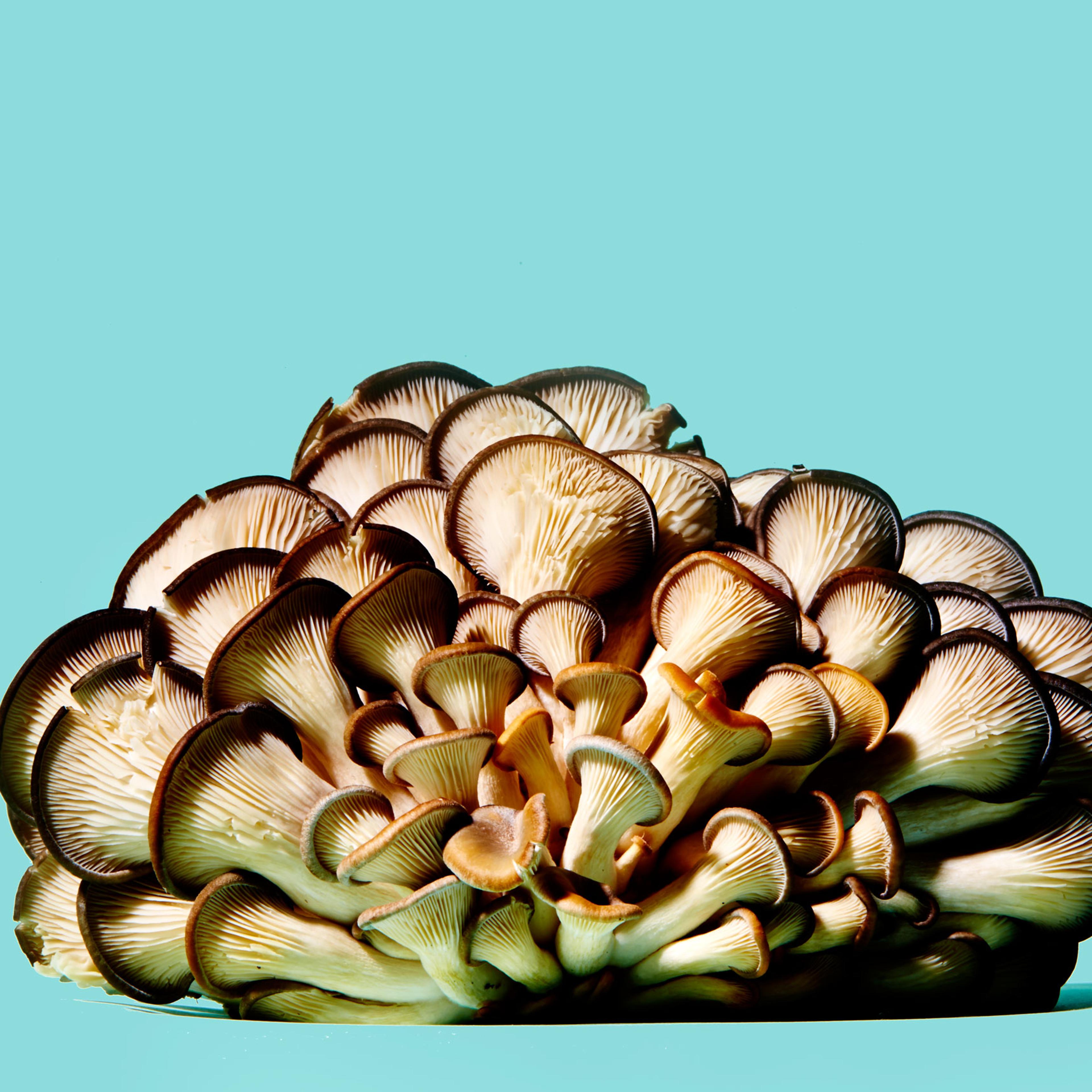 healthiest foods, health food, diet, nutrition, time.com stock, mushrooms, vegetables