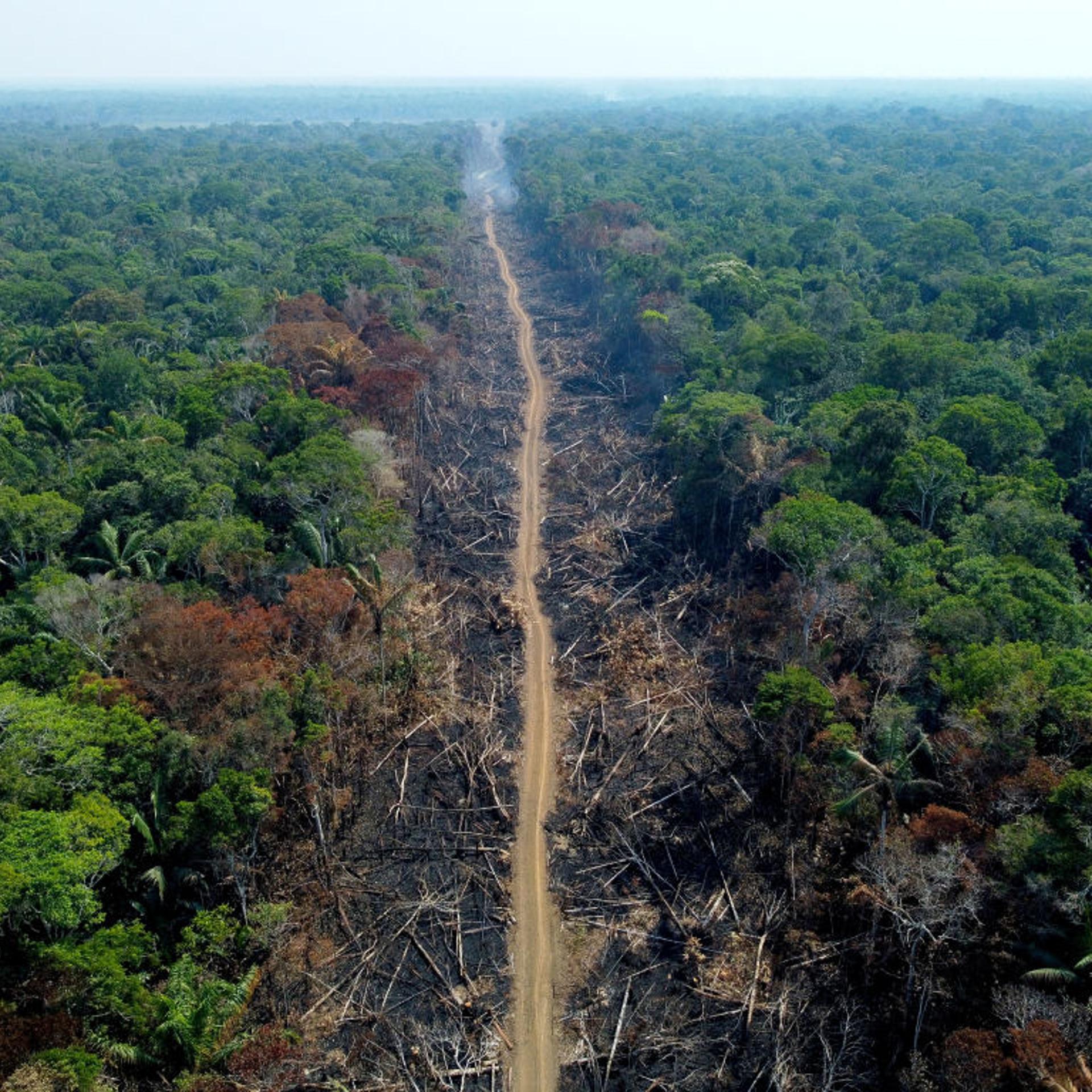 Brazil-deforestation-Lula-Election