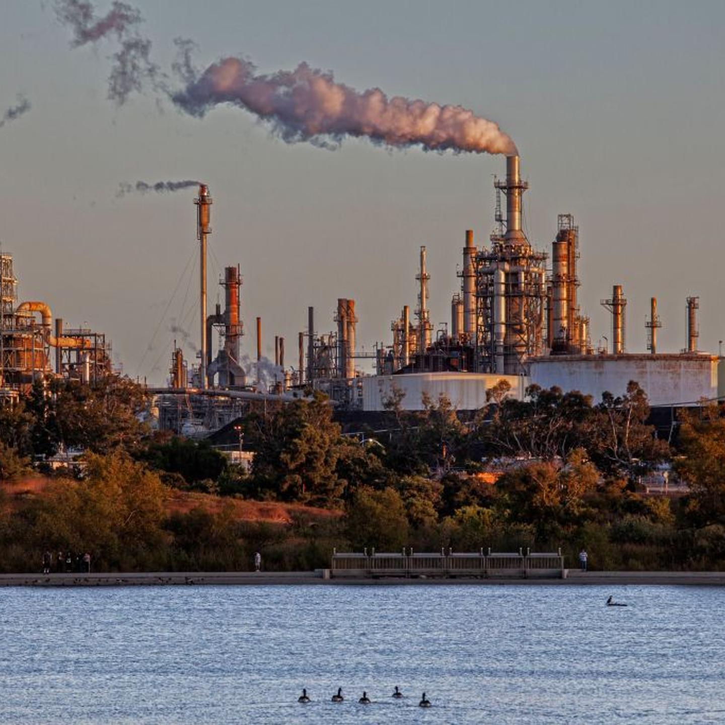 oil refinery phillips 66