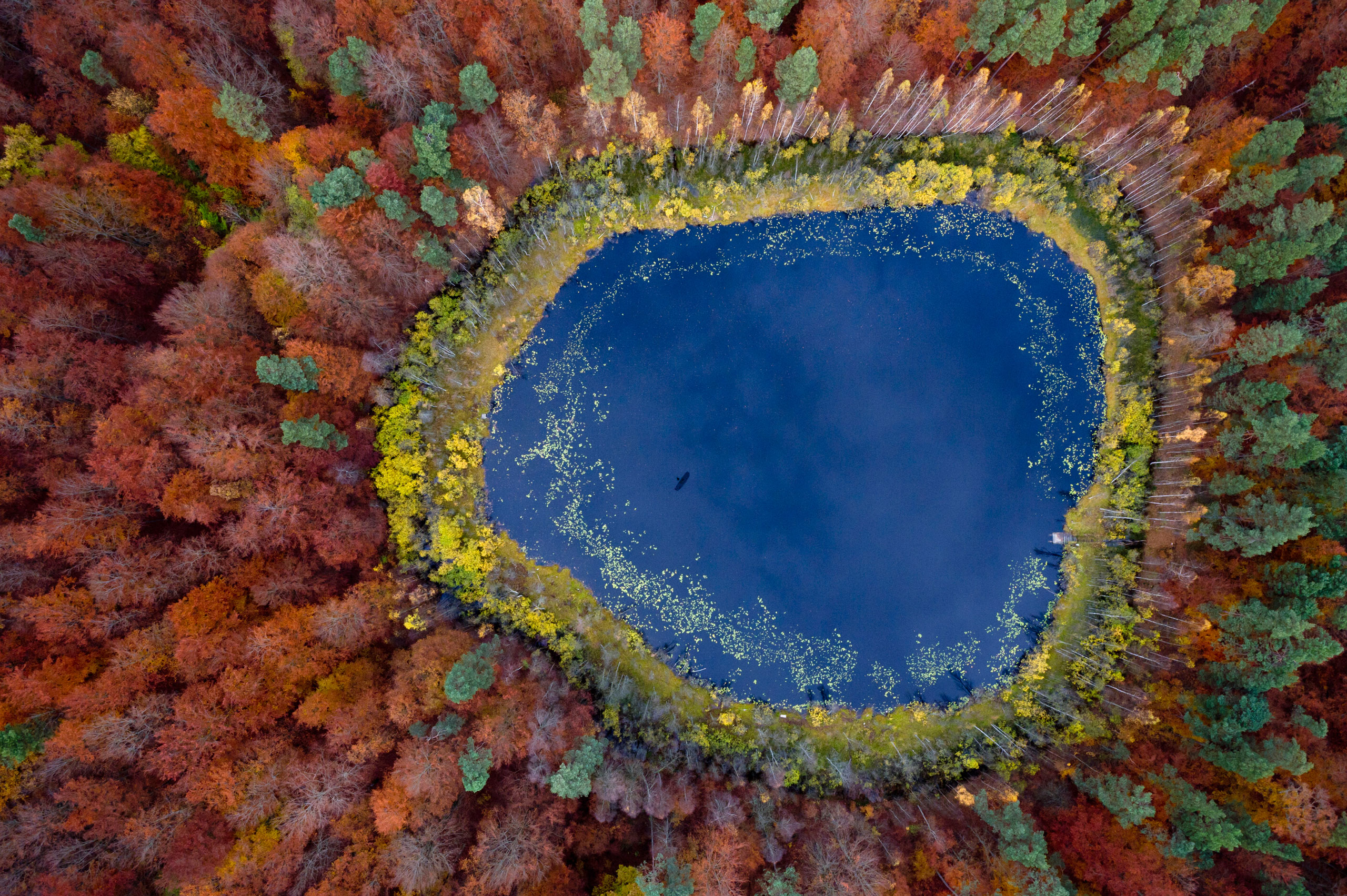 See Amazing Aerial Views of Fall Foliage in Poland