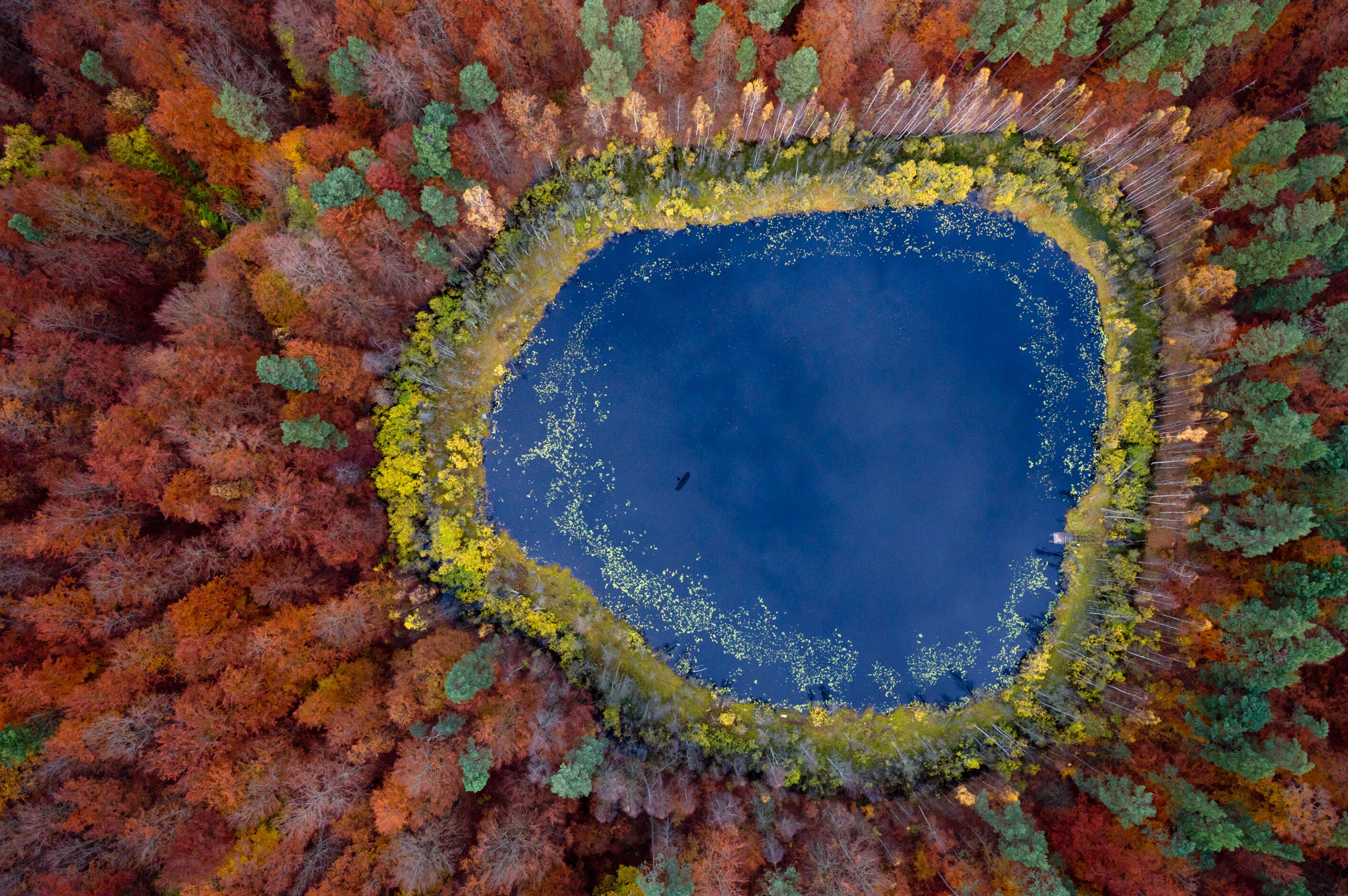 Fall In Poland See Amazing Aerial Views of Fall Foliage in Poland