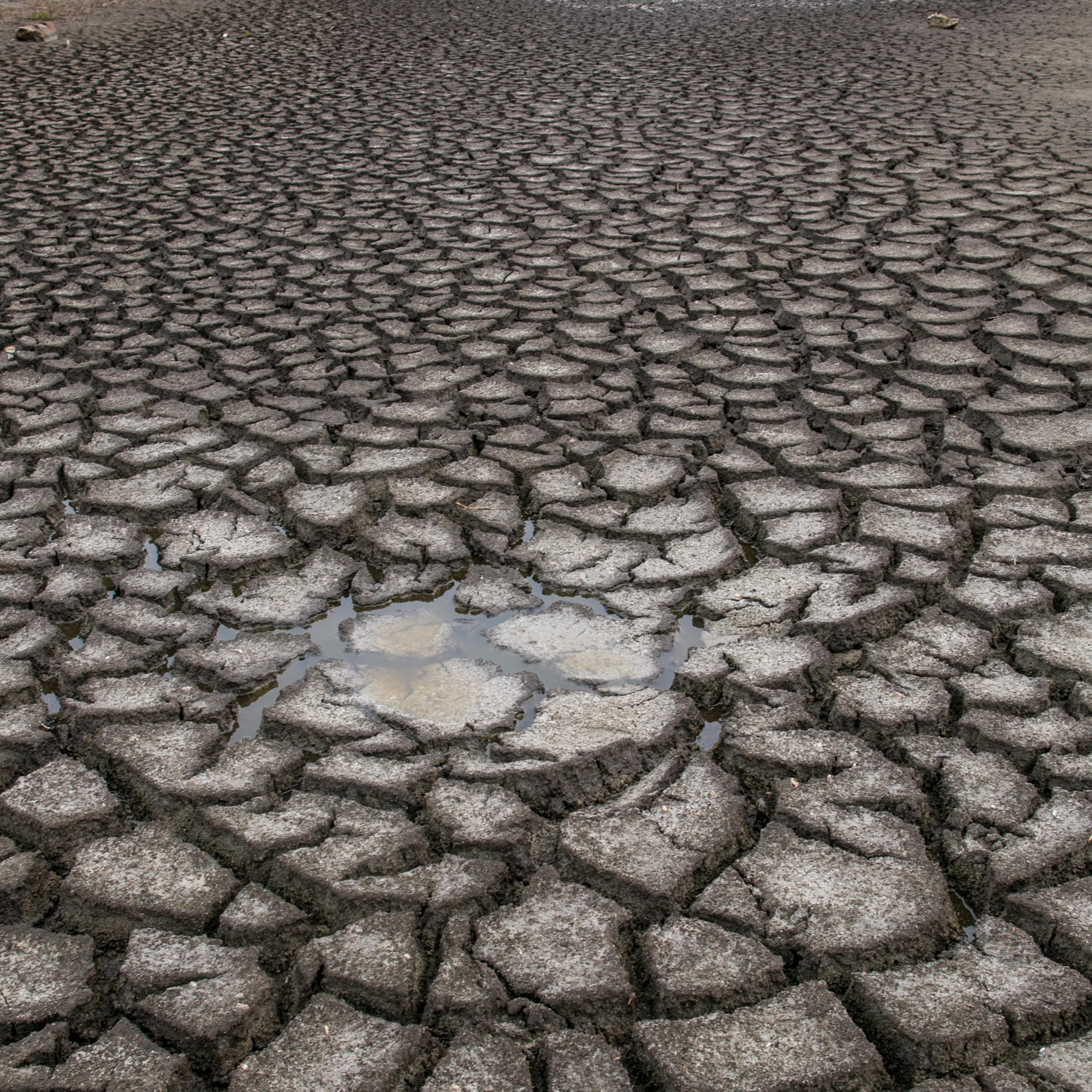 A dried mud flat along a stretch of the now dry Santa Ynez River is viewed on Nov. 15, 2015, near Lompoc, Calif.