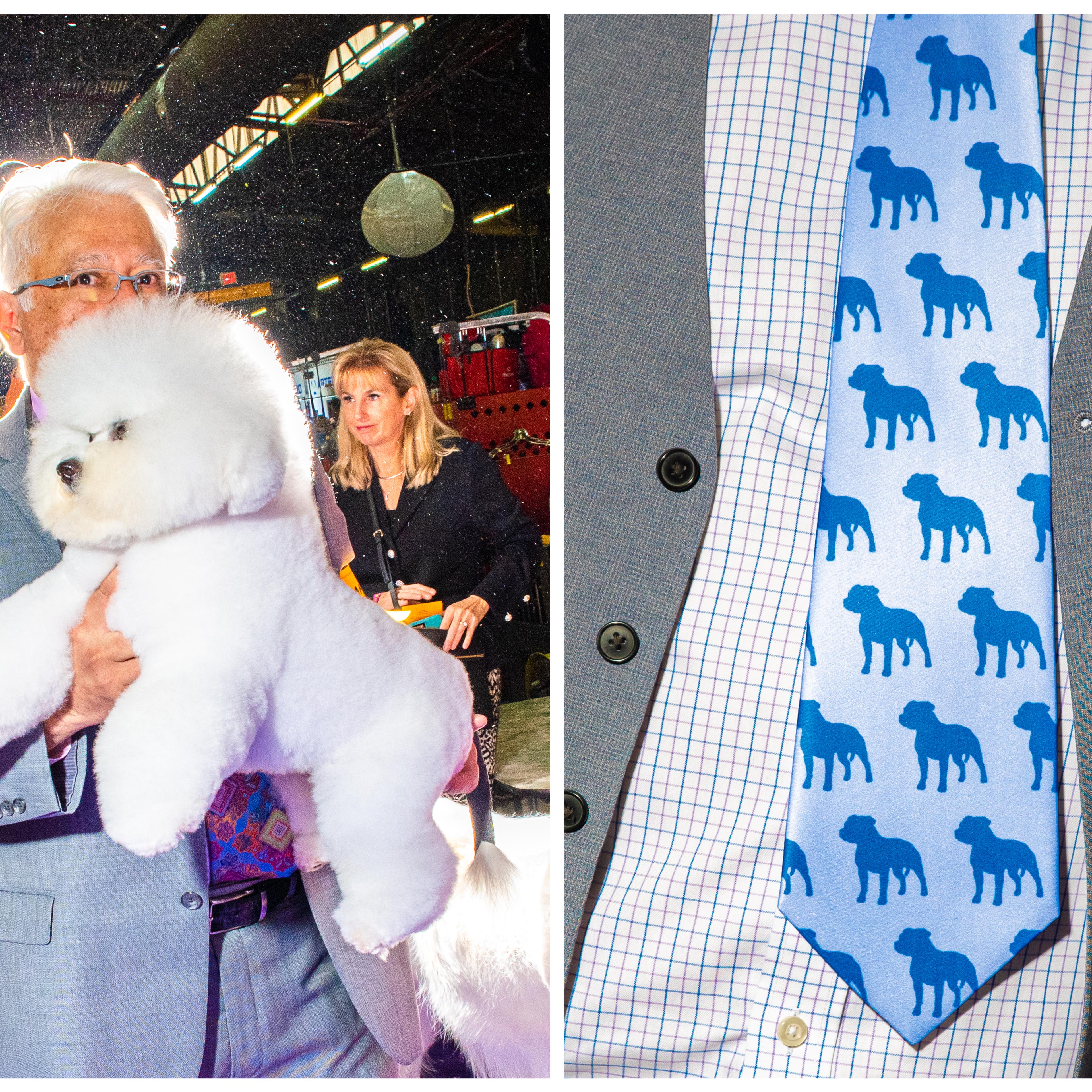 Left: A Bichon and their handler Paul Flores at the Westminster Dog Show in New York City on Feb. 10, 2020. Right: A man sports a Pitbull tie at the Westminster Dog Show in New York City on Feb. 10, 2020.