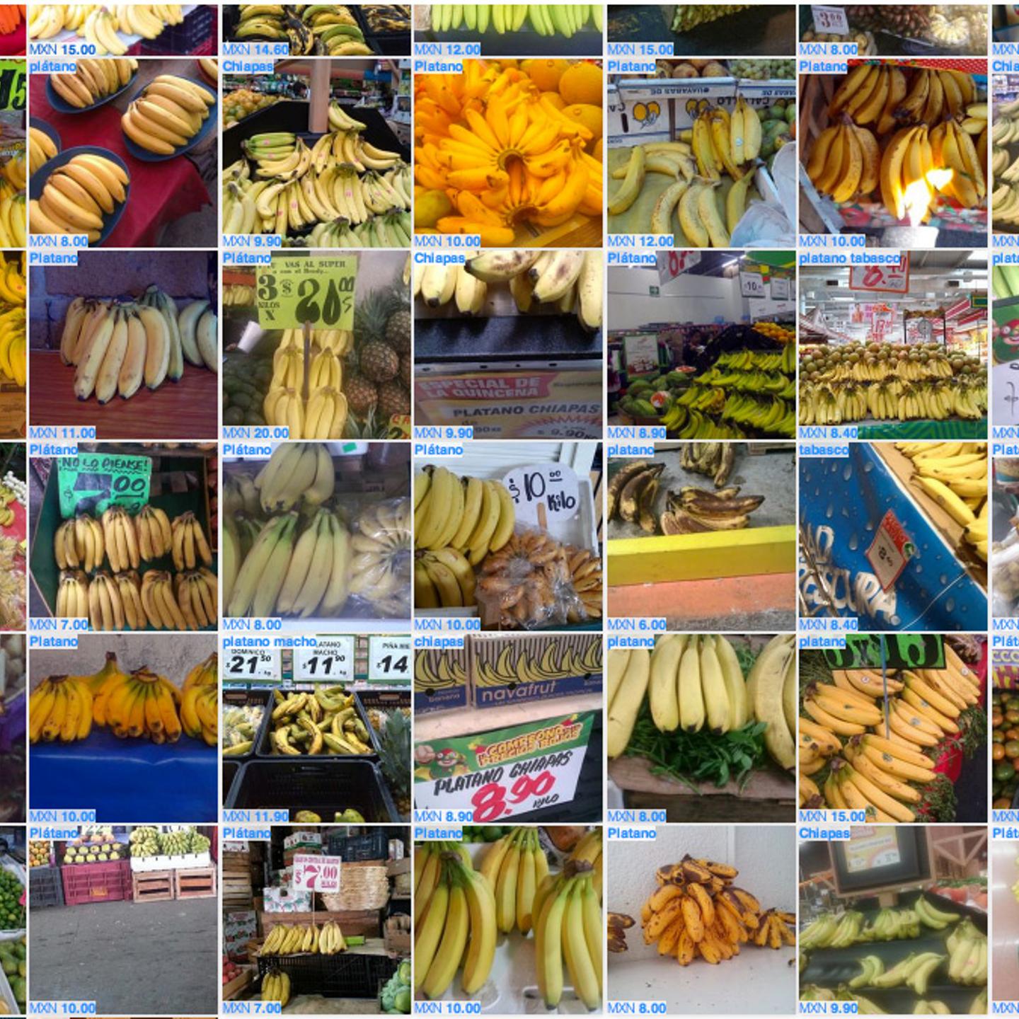 Fruit and vegetables are common items photographed with the Premise app to help measure inflation