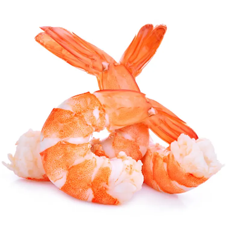 Shrimp