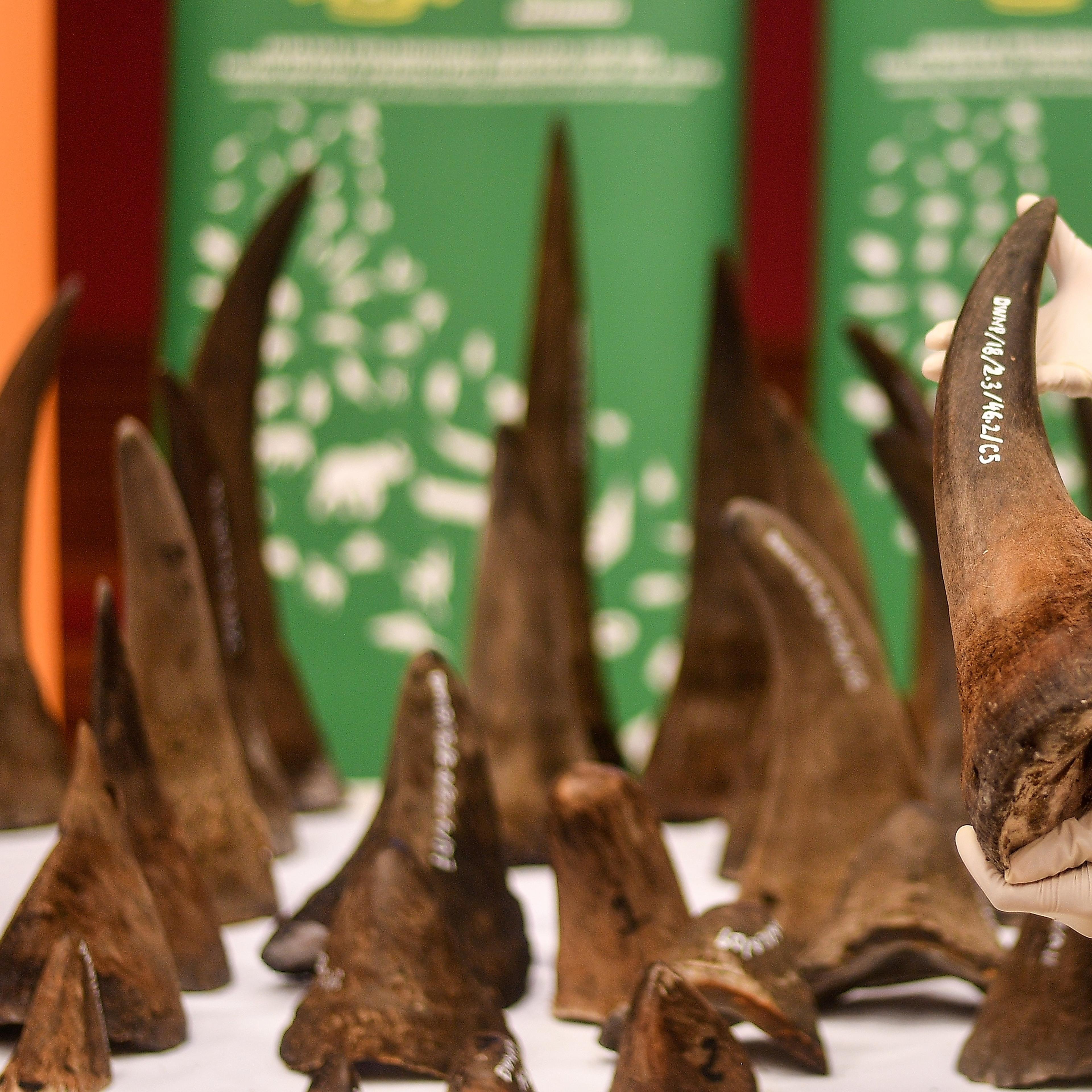 MALAYSIA-VIETNAM-ENVIRONMENT-ANIMAL-RHINO