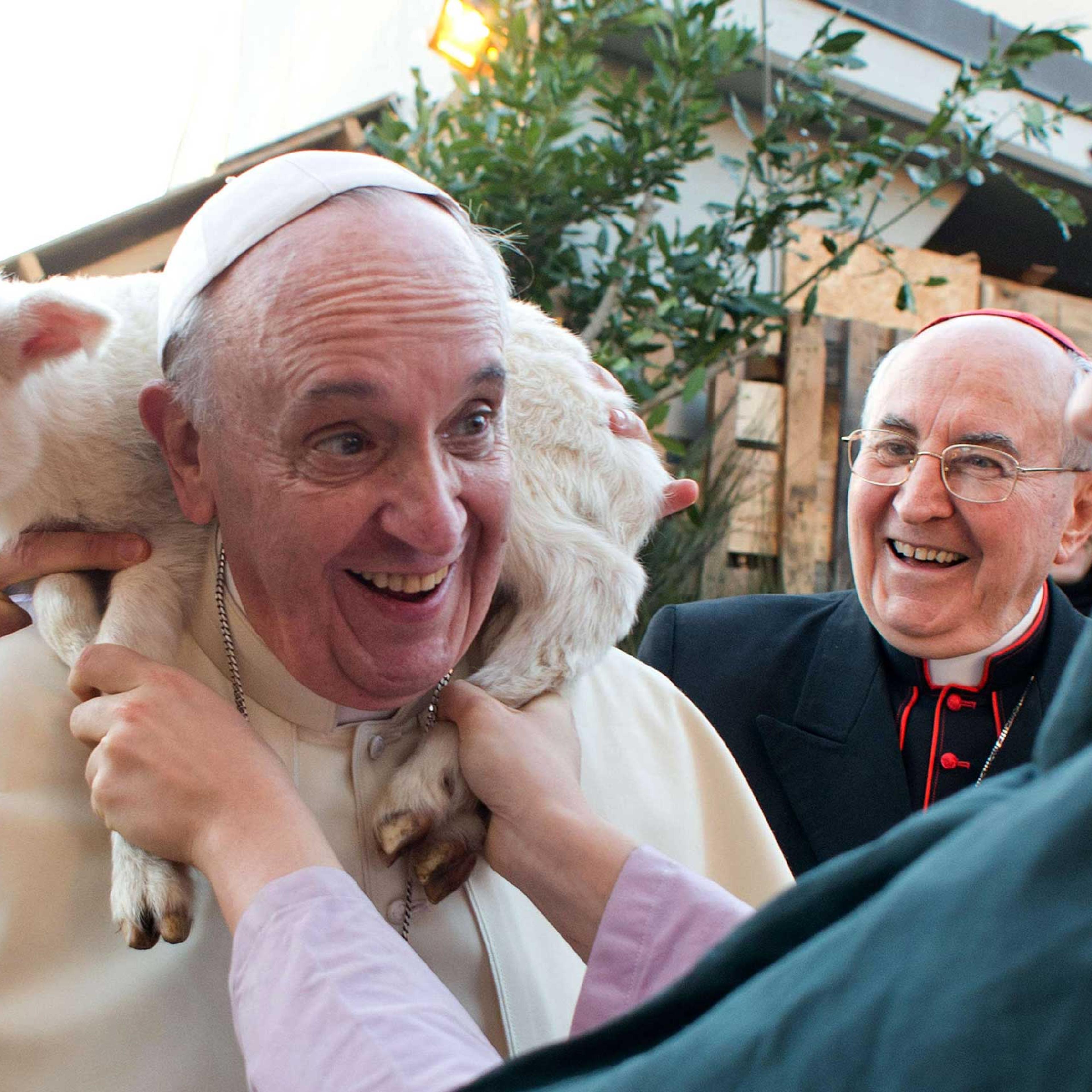 Pope Francis, visiting a church on the outskirts of Rome on Jan. 6, is draped with a lamb.