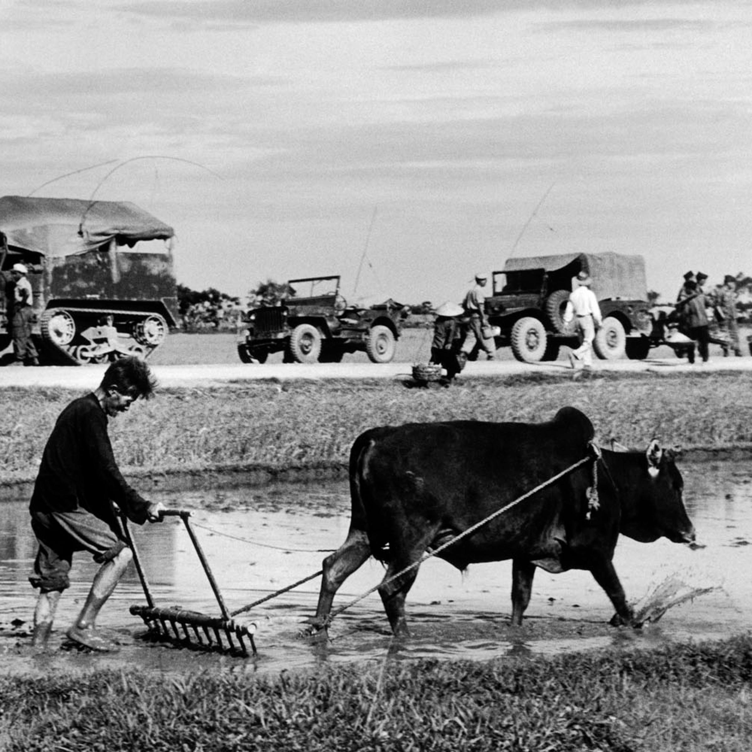 icp 883On the road from Namdinh to Thaibinh. May 25th, 1954. A French military convoy on its way north towards Doai Tan. In the foreground: a rice field.